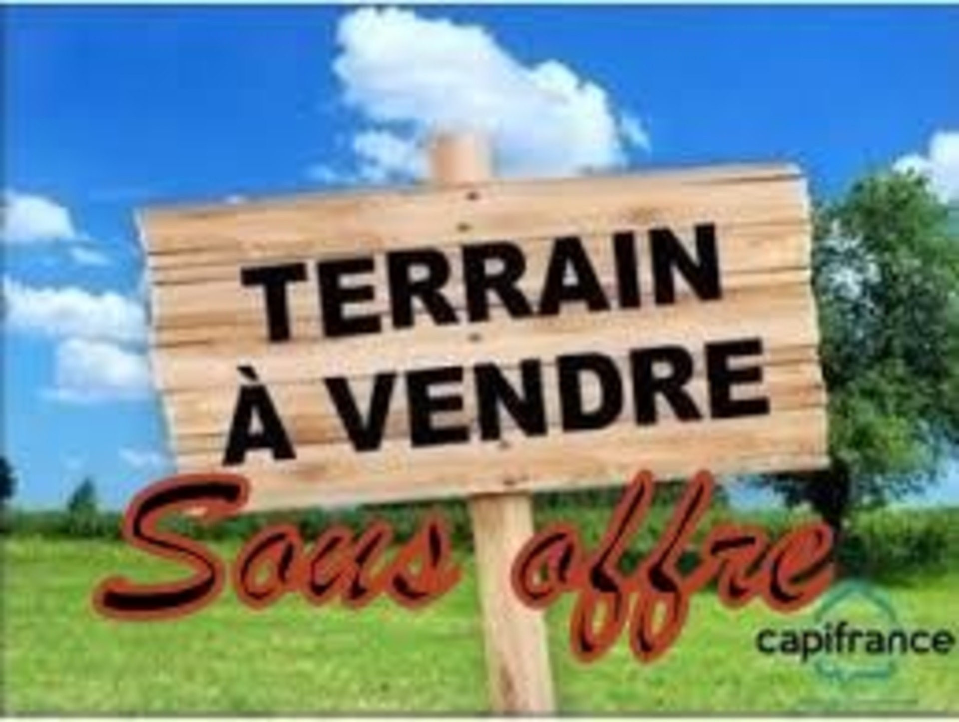 Terrain