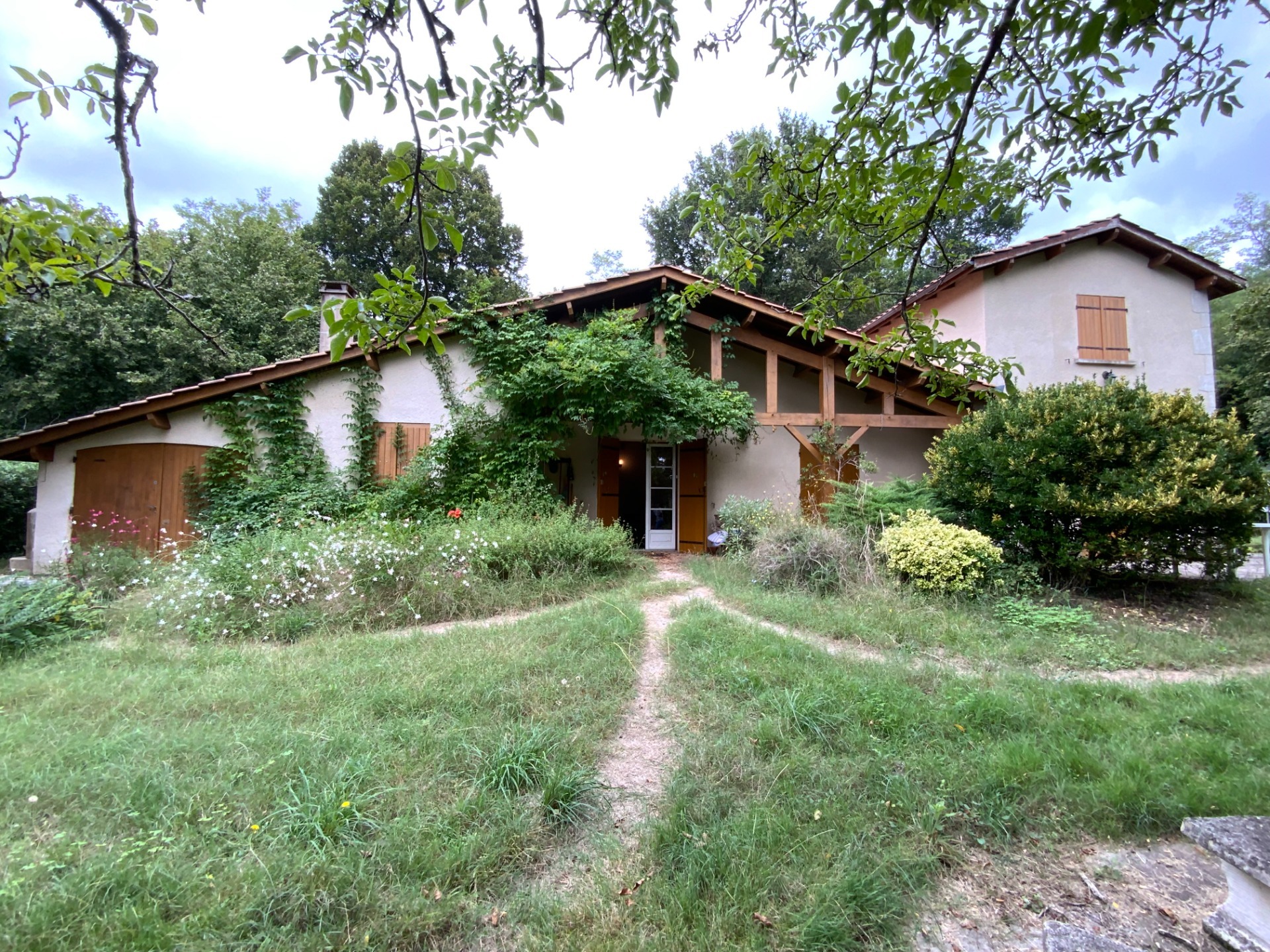 Maison