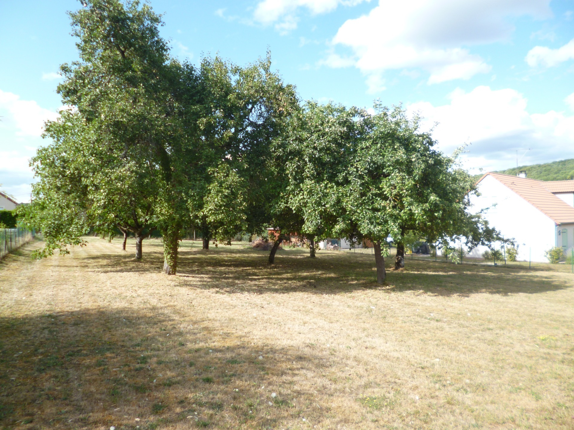 Terrain