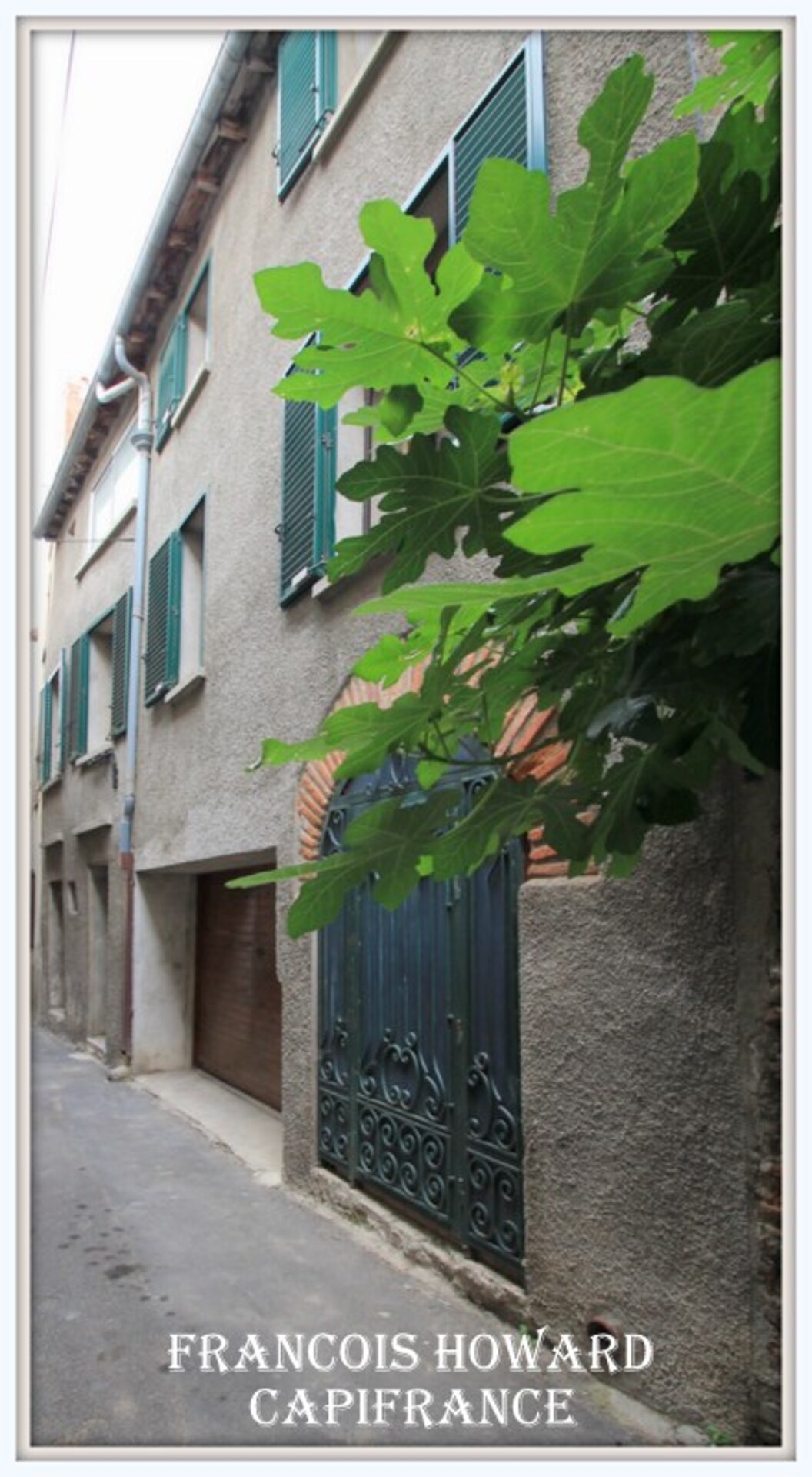 Maison