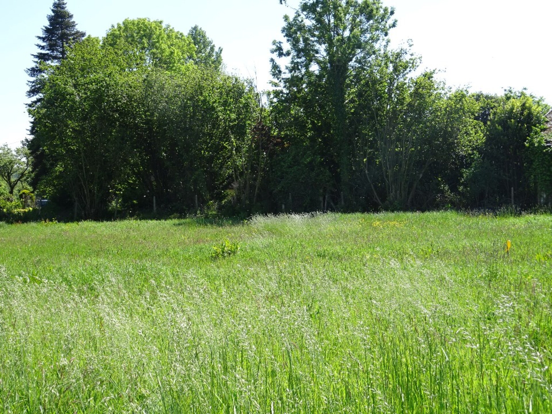 Terrain