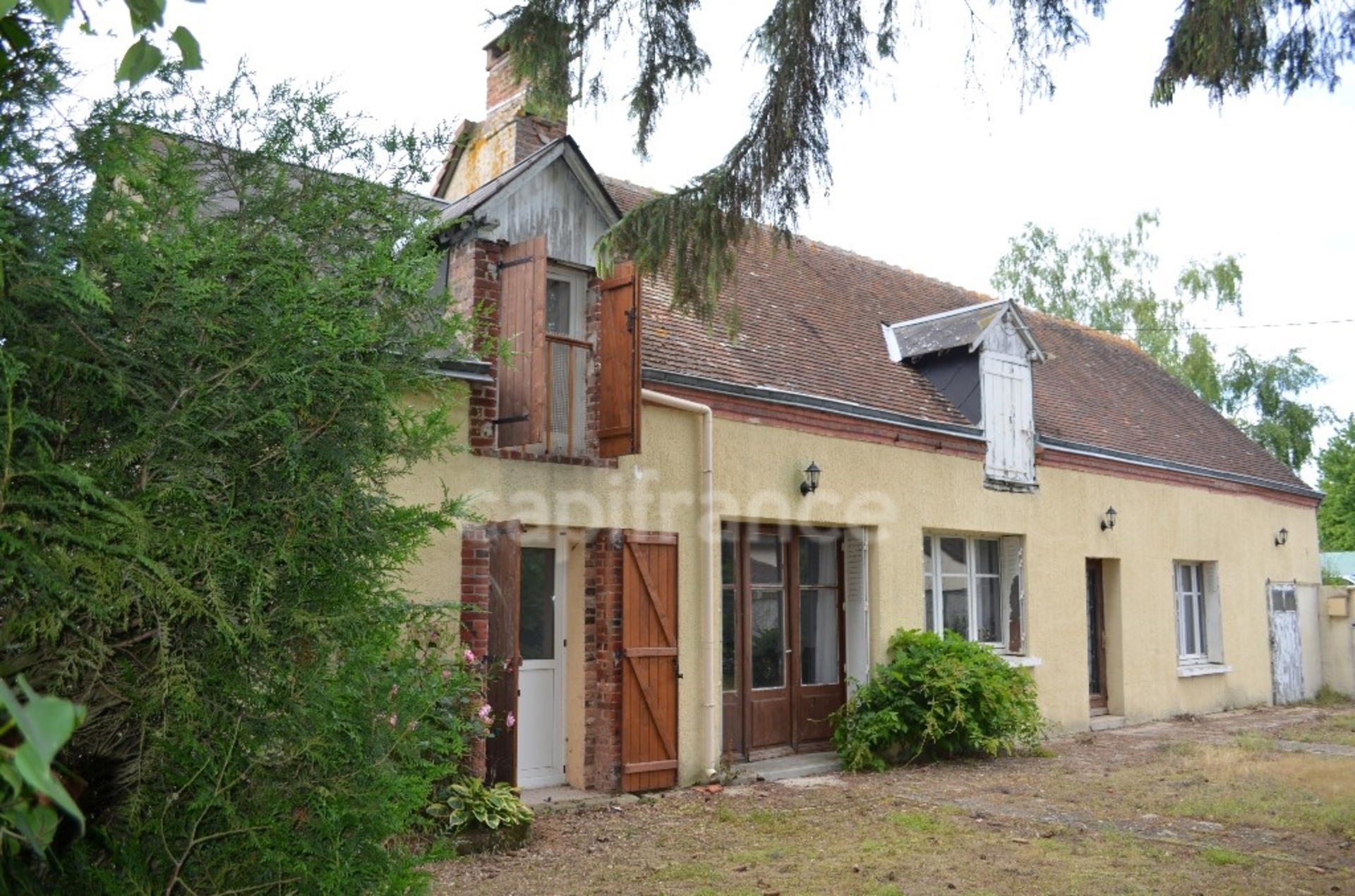 Maison