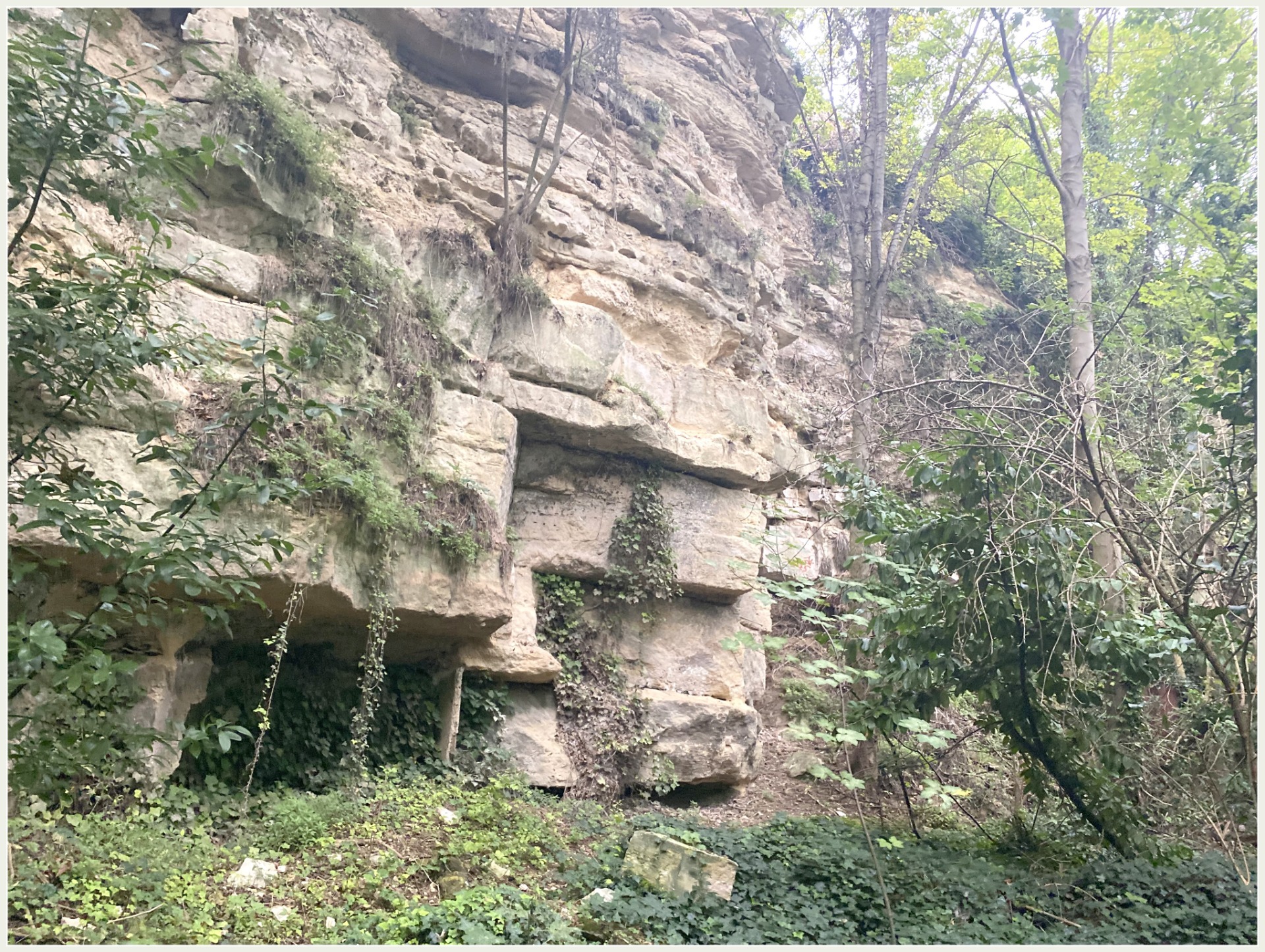 Terrain
