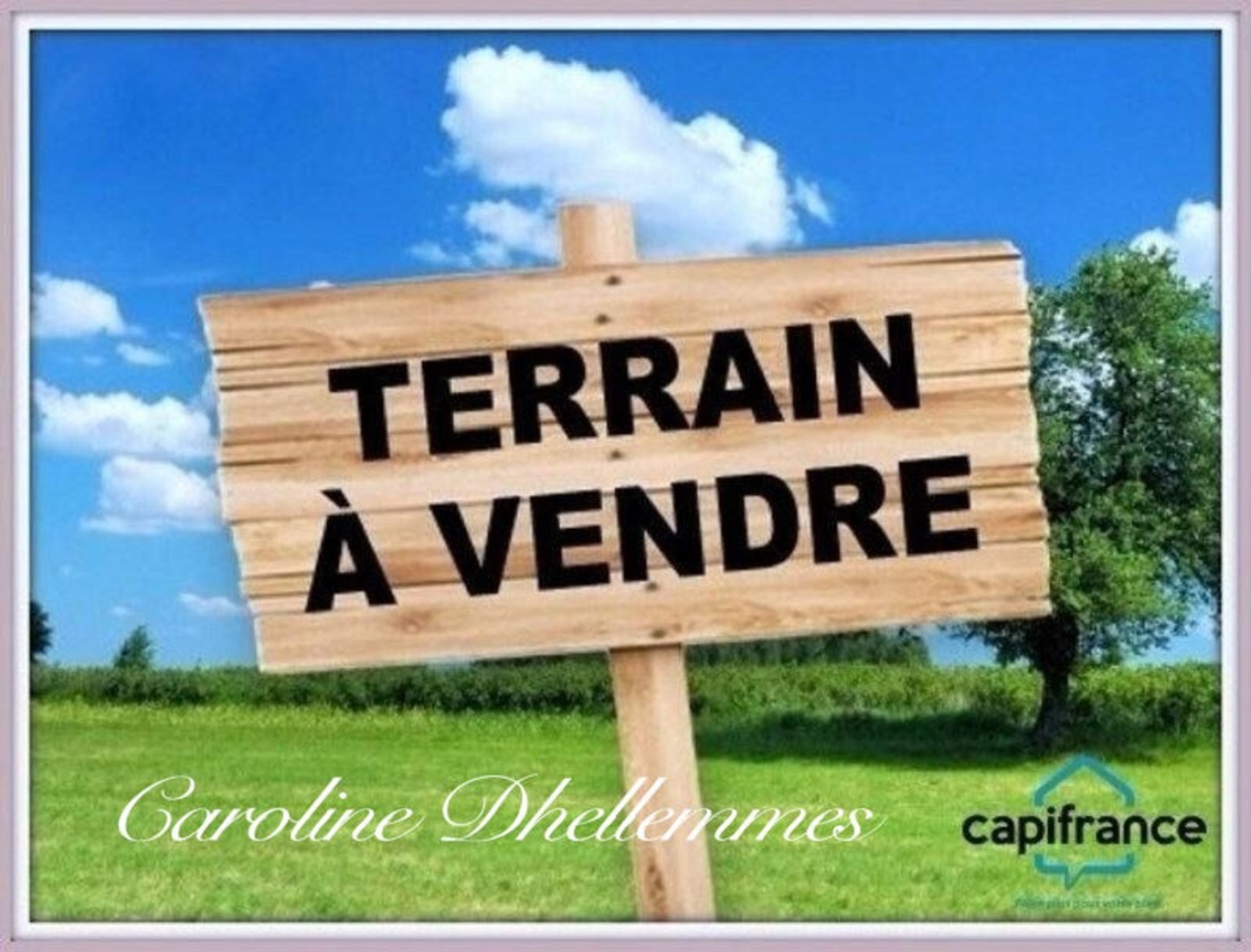 Terrain