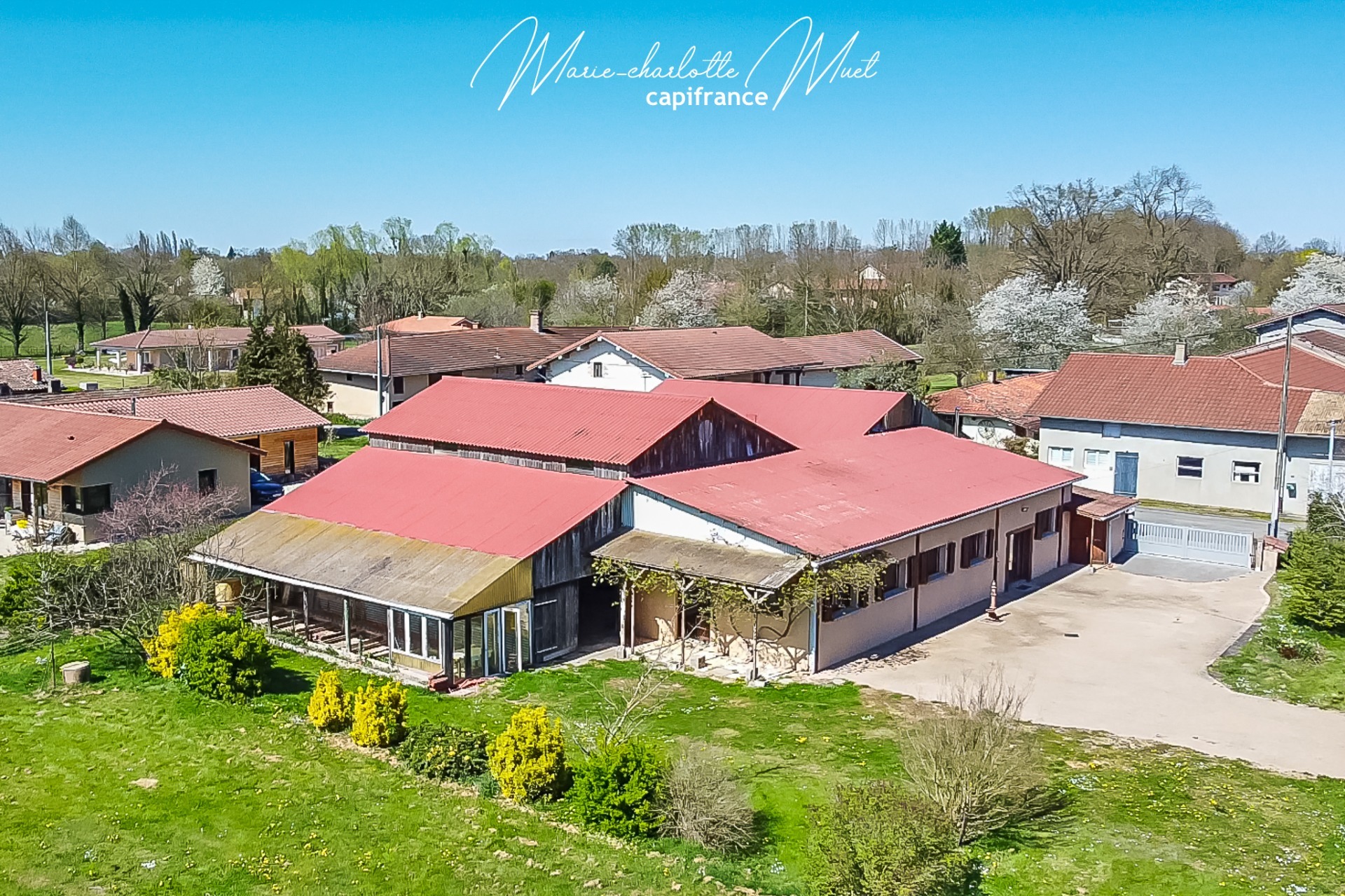 Maison