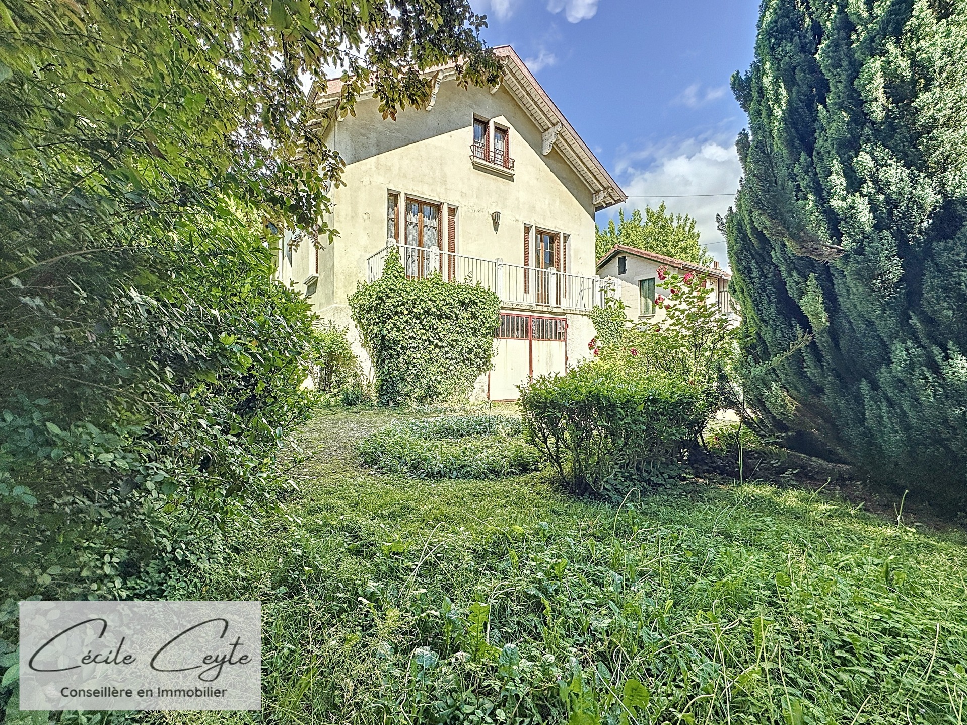 Maison