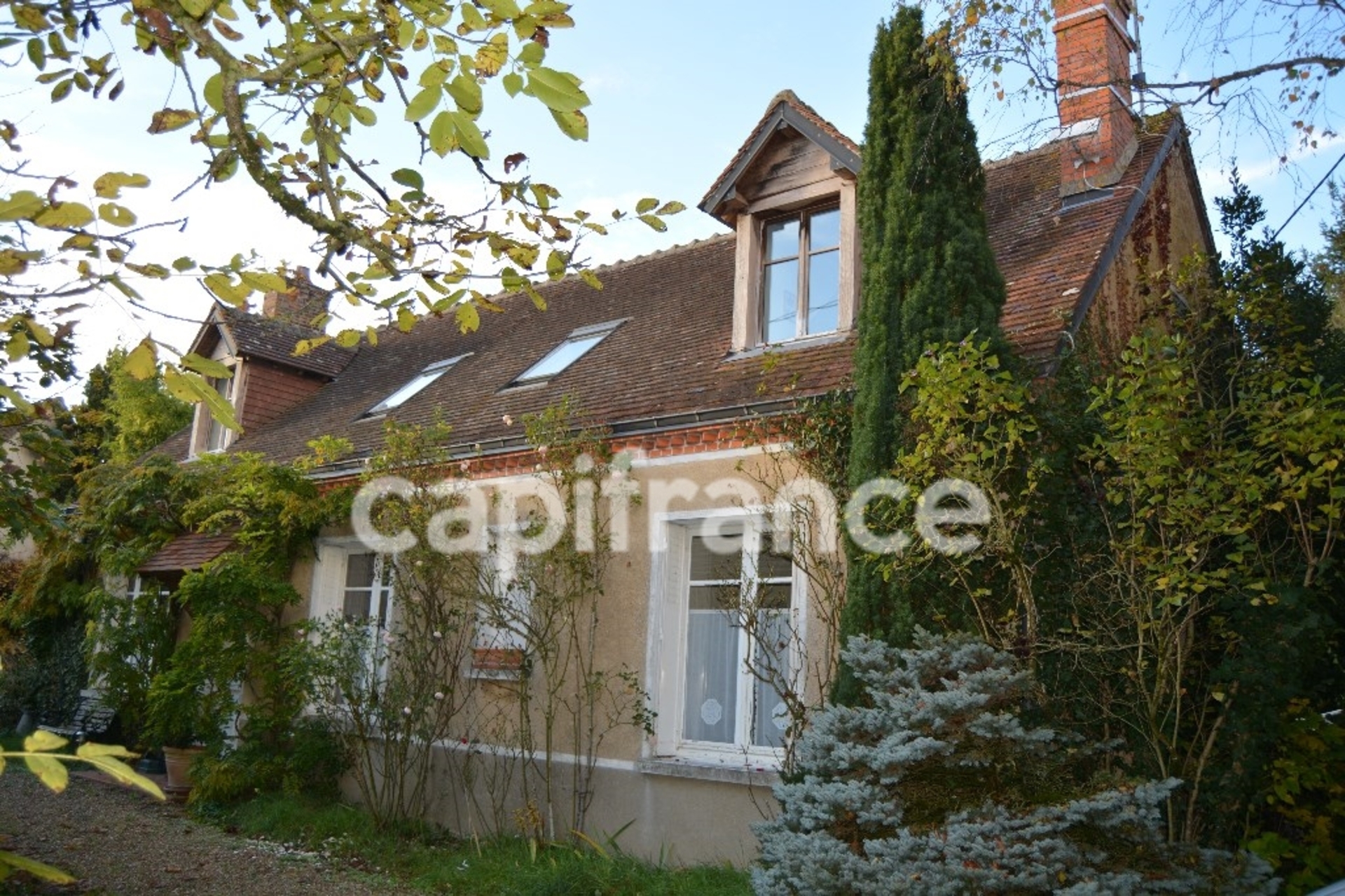 Maison
