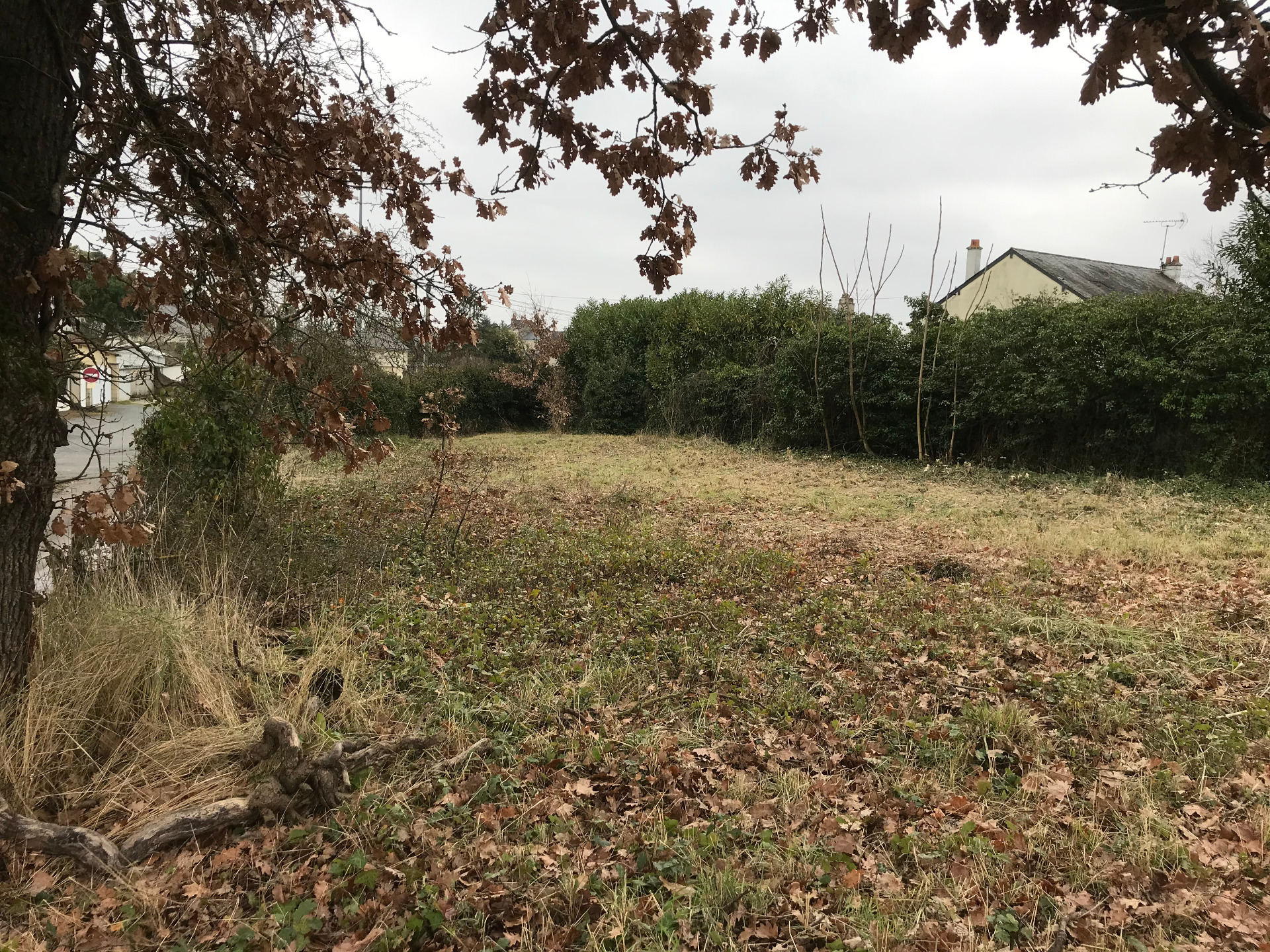 Terrain