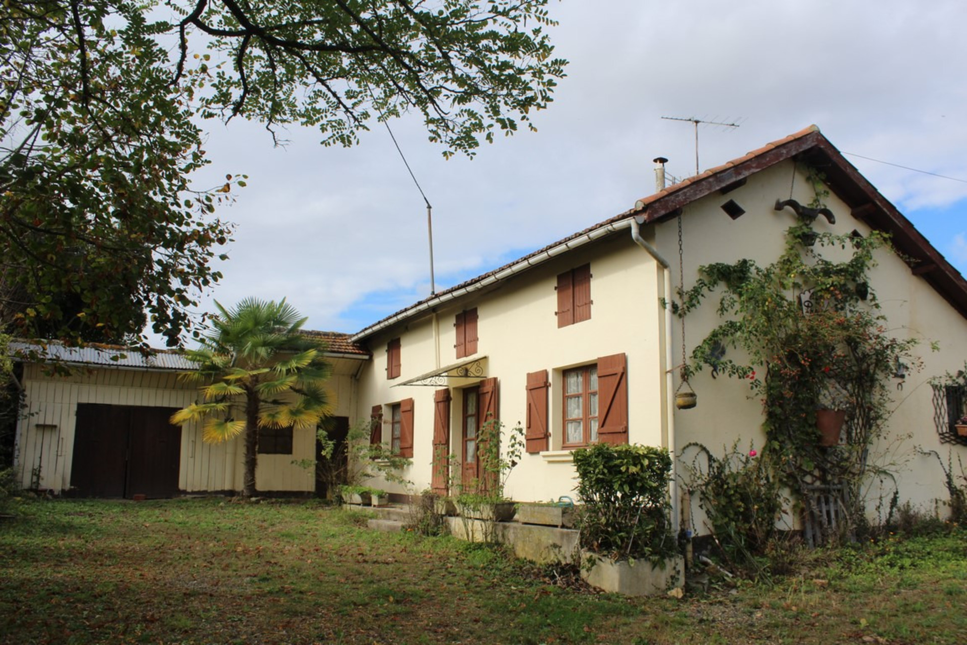 Maison