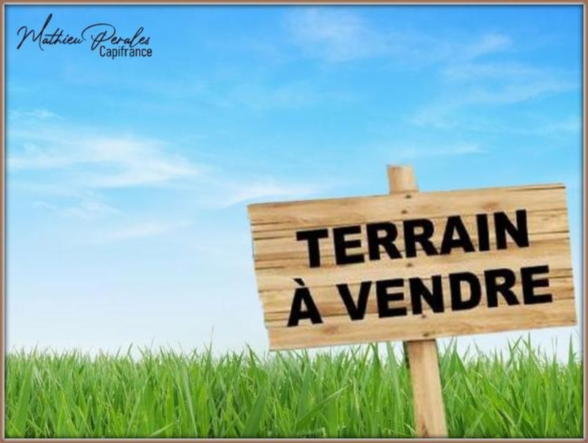 Terrain