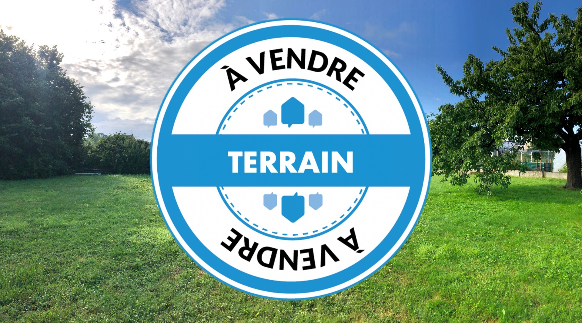 Terrain
