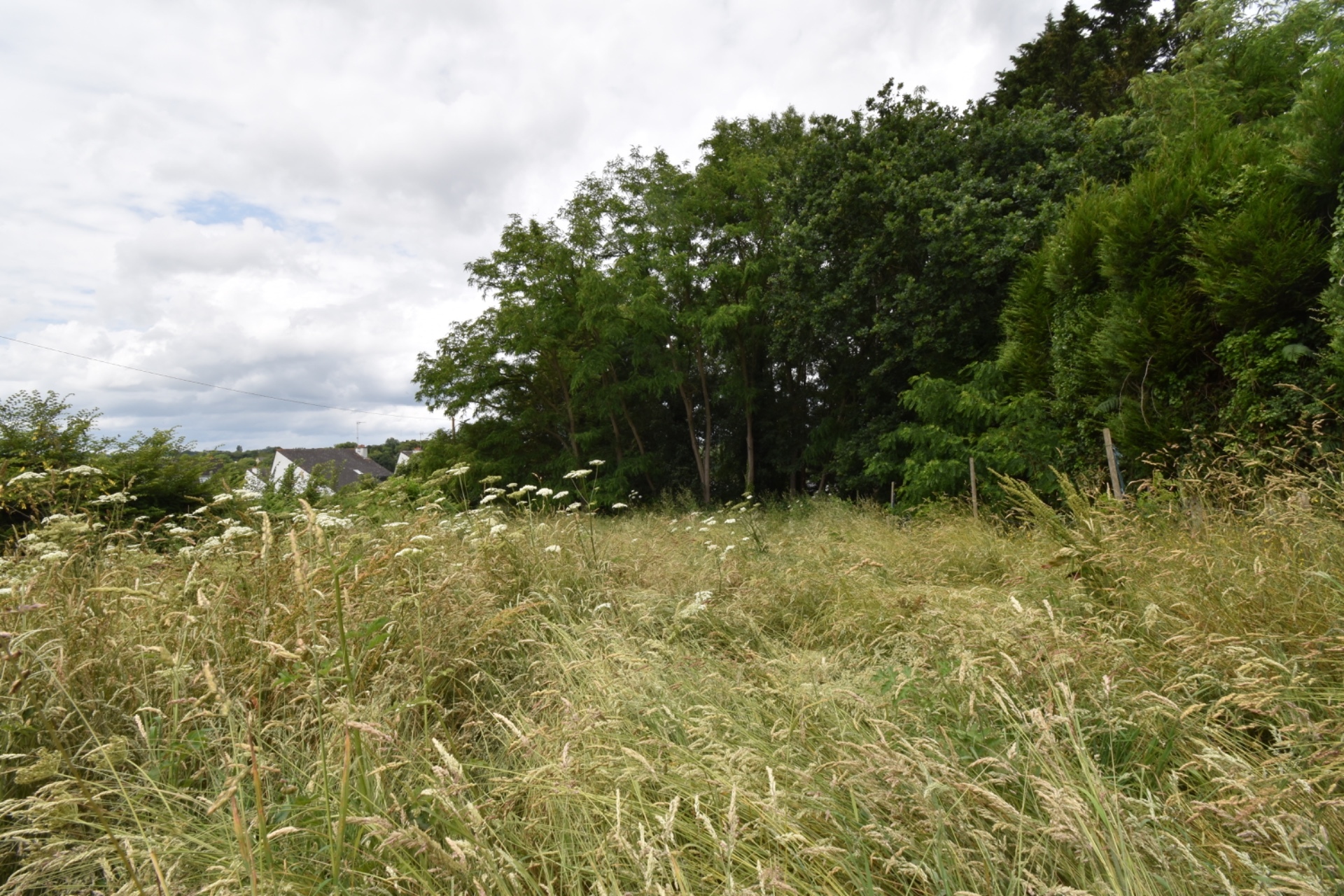 Terrain