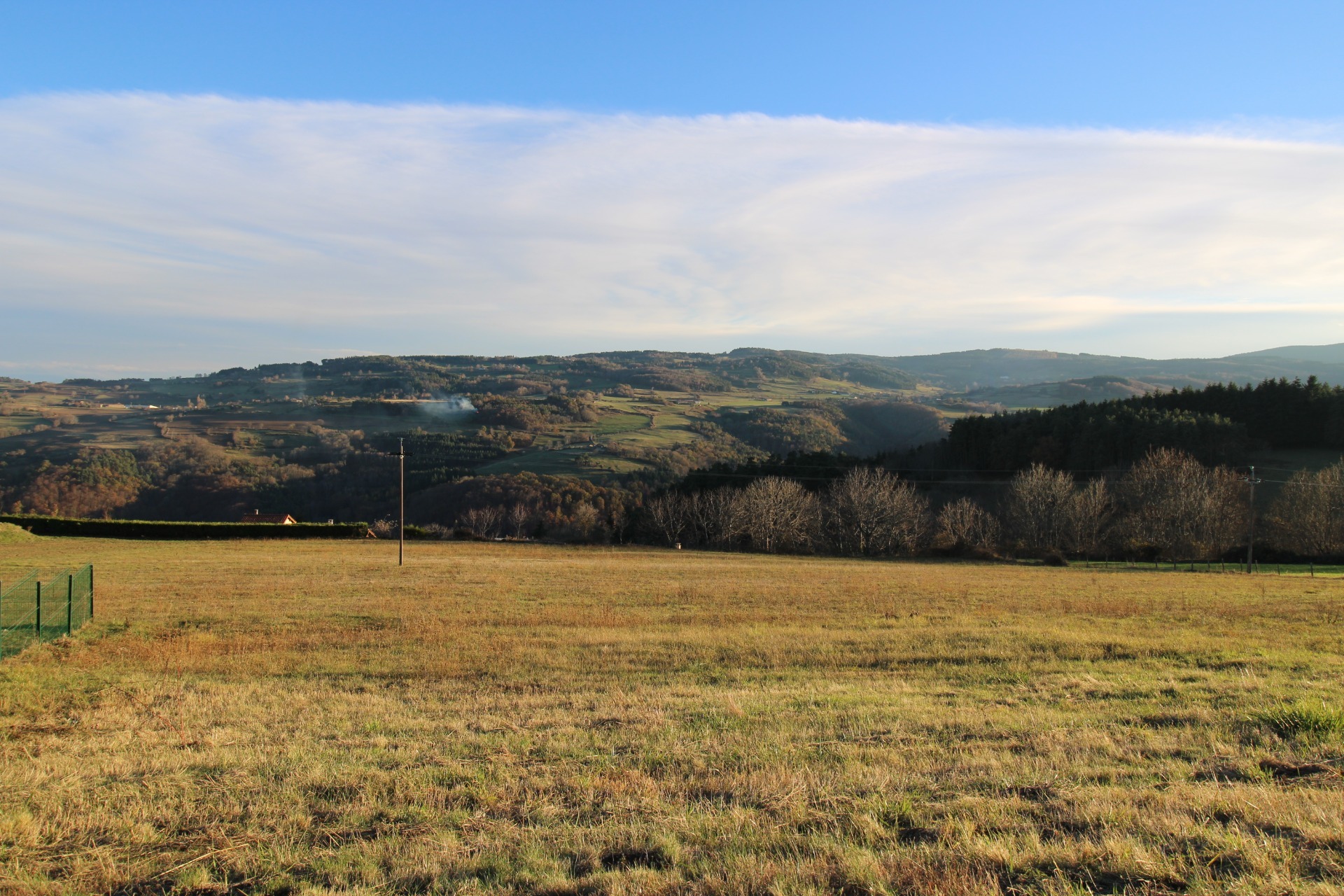 Terrain