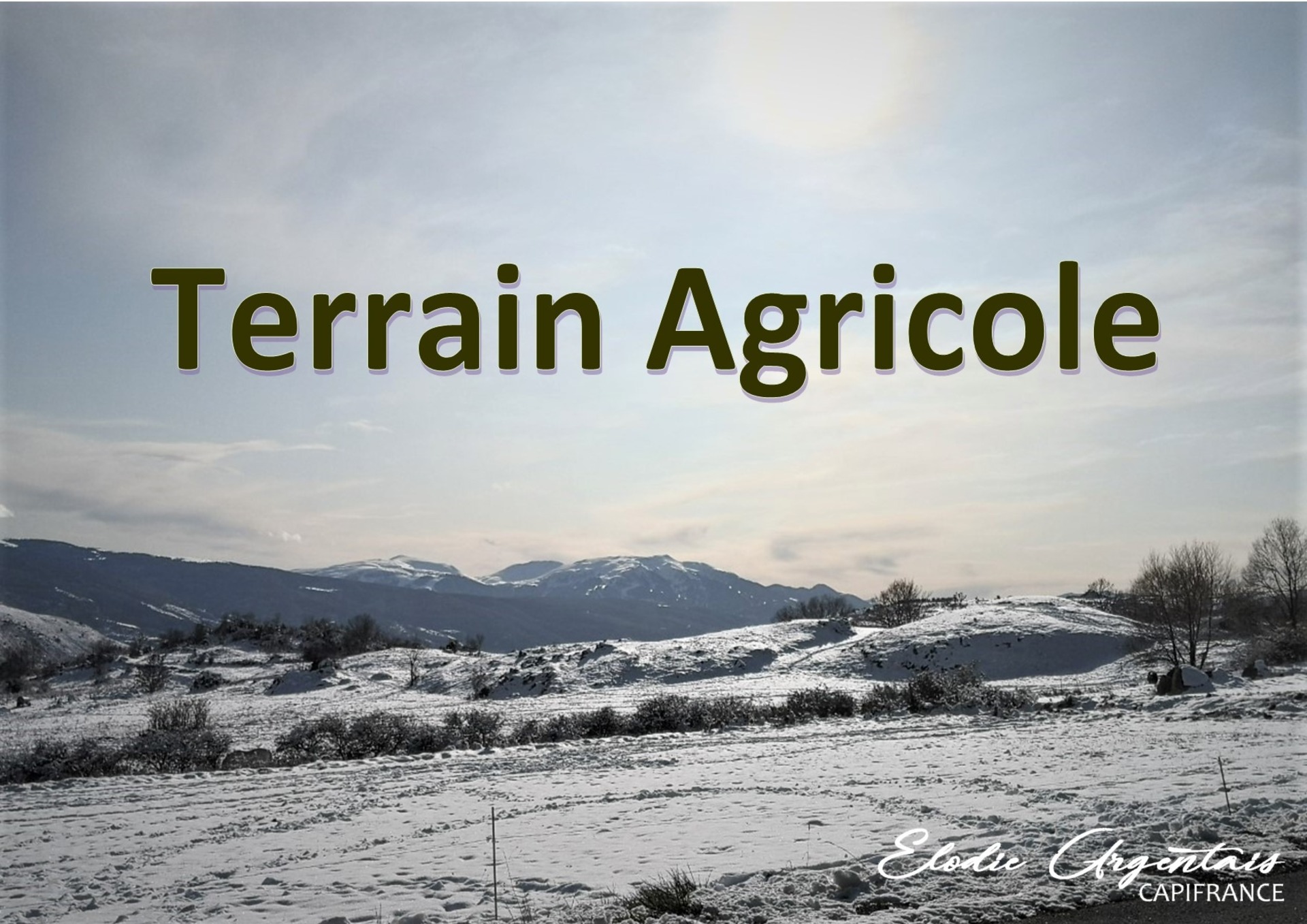 Terrain