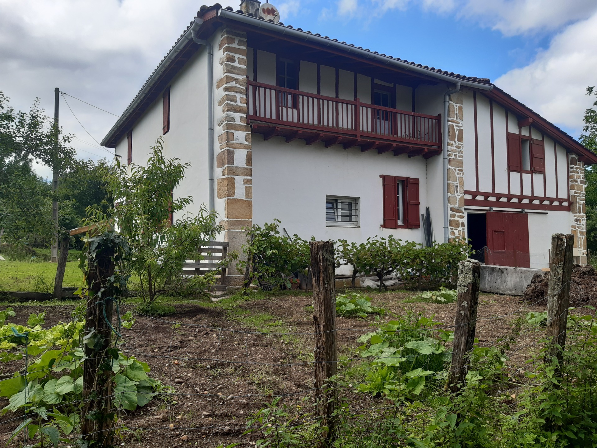 Maison