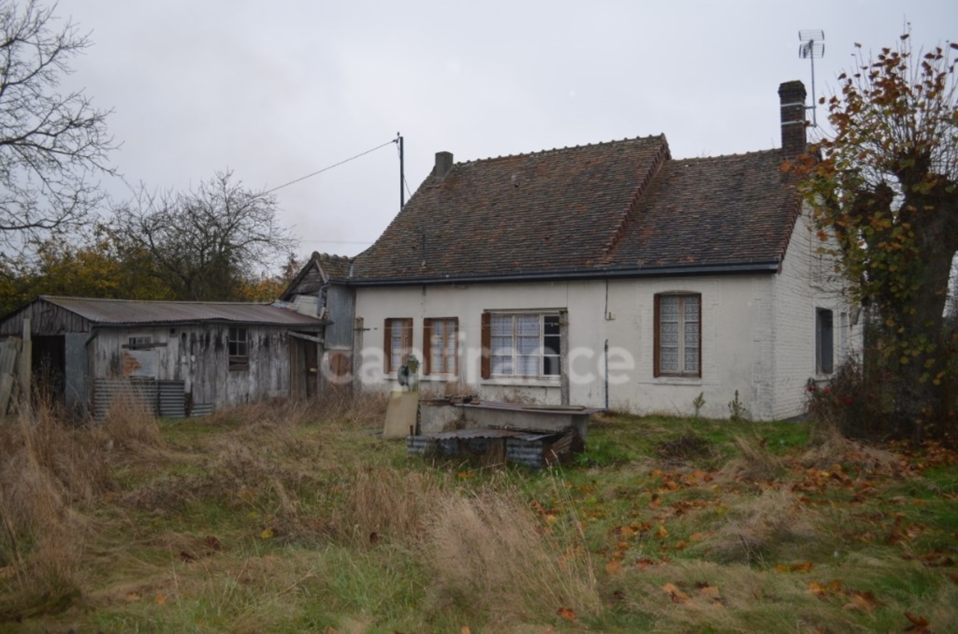 Maison