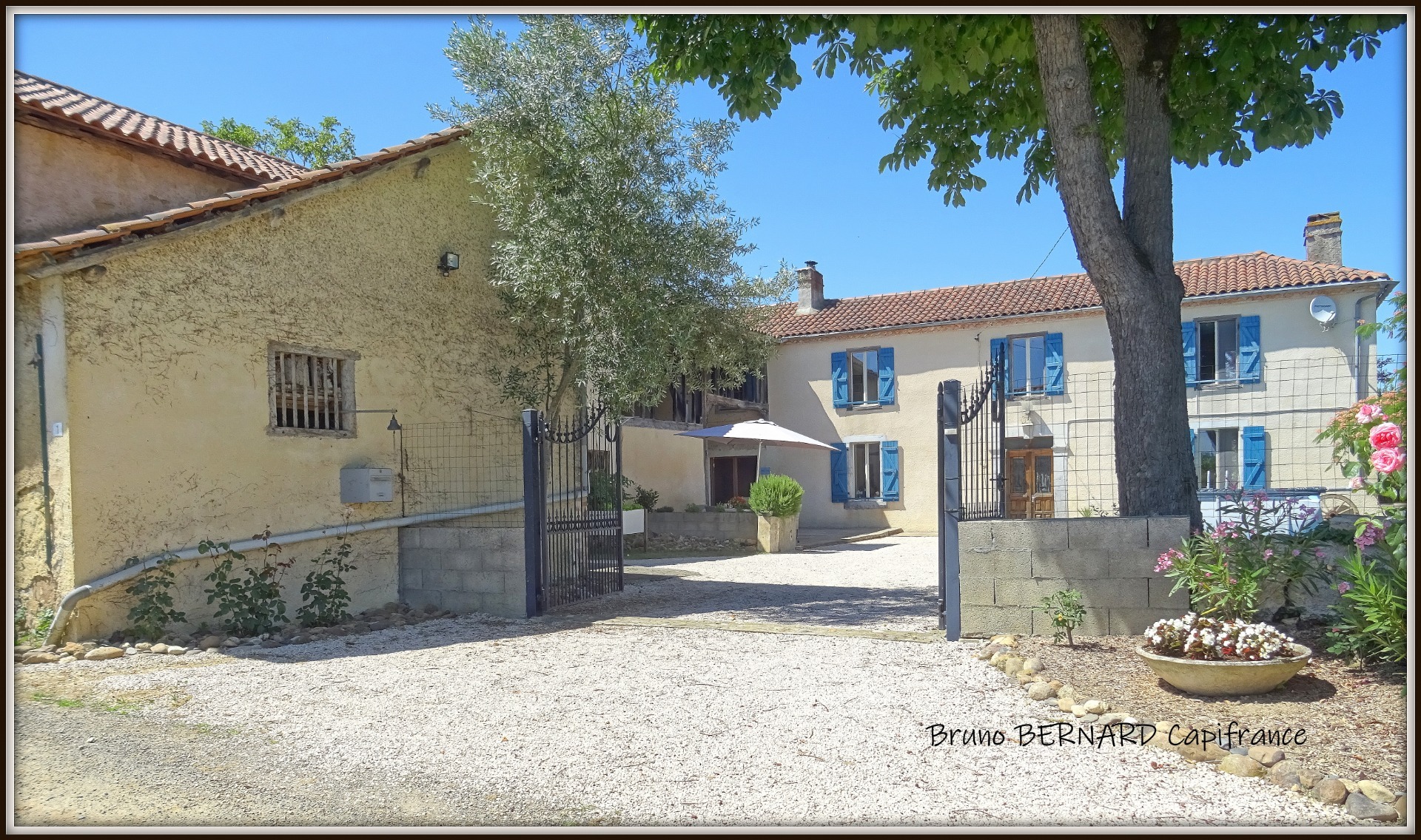 Maison