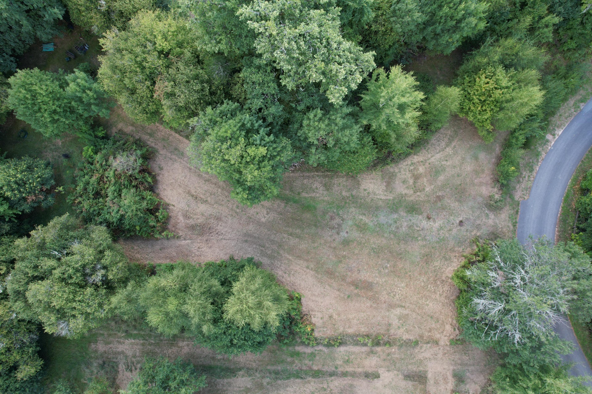 Terrain