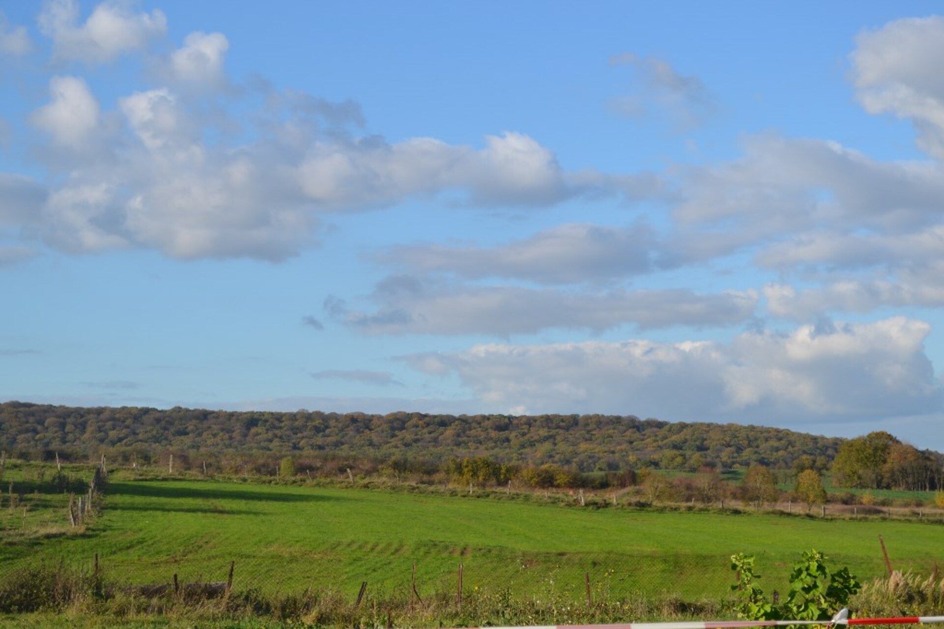 Terrain