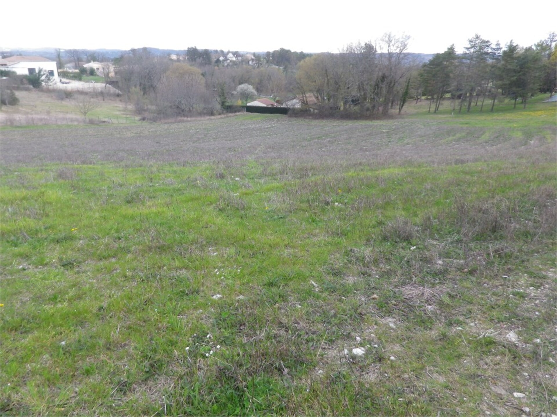 Terrain