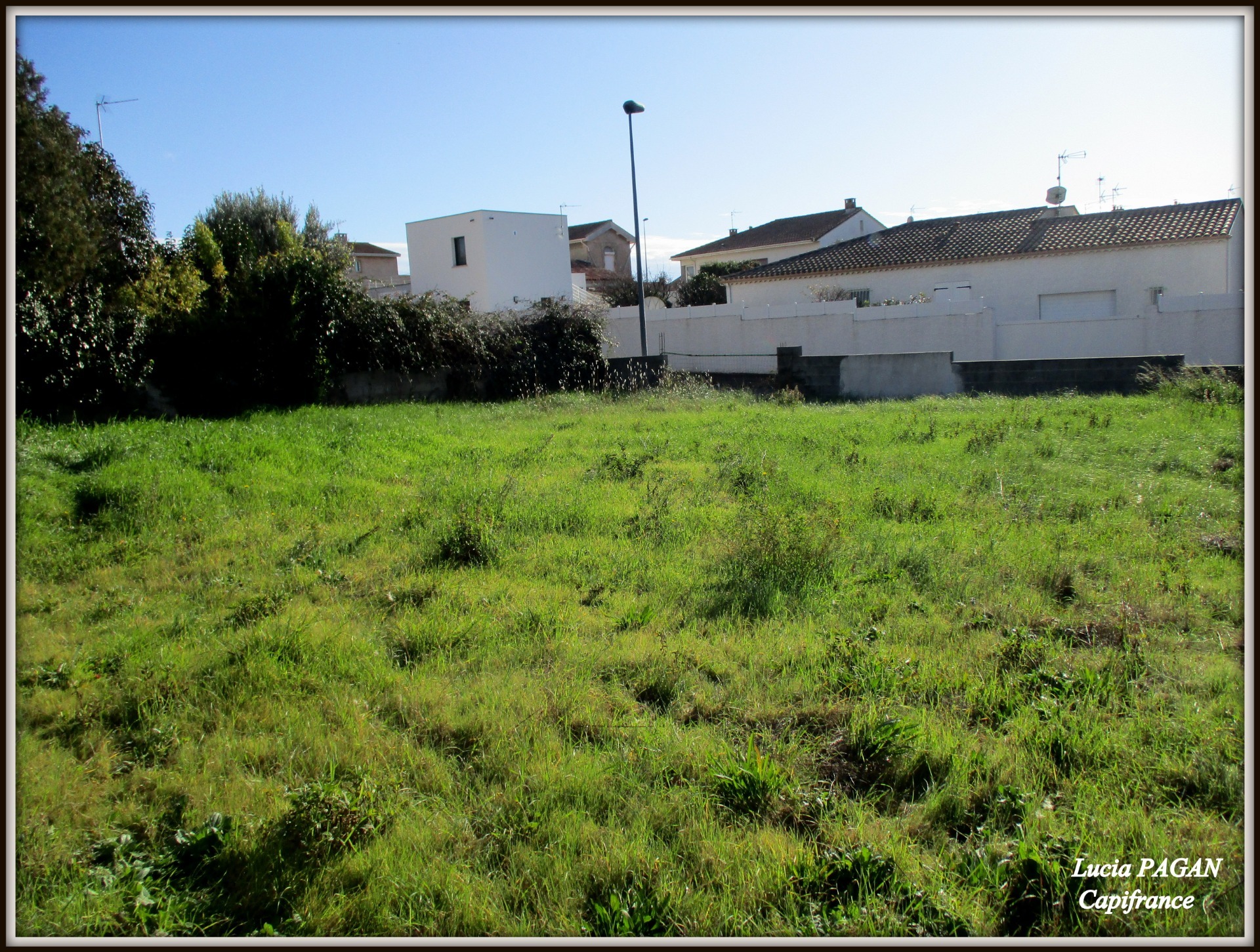 Terrain