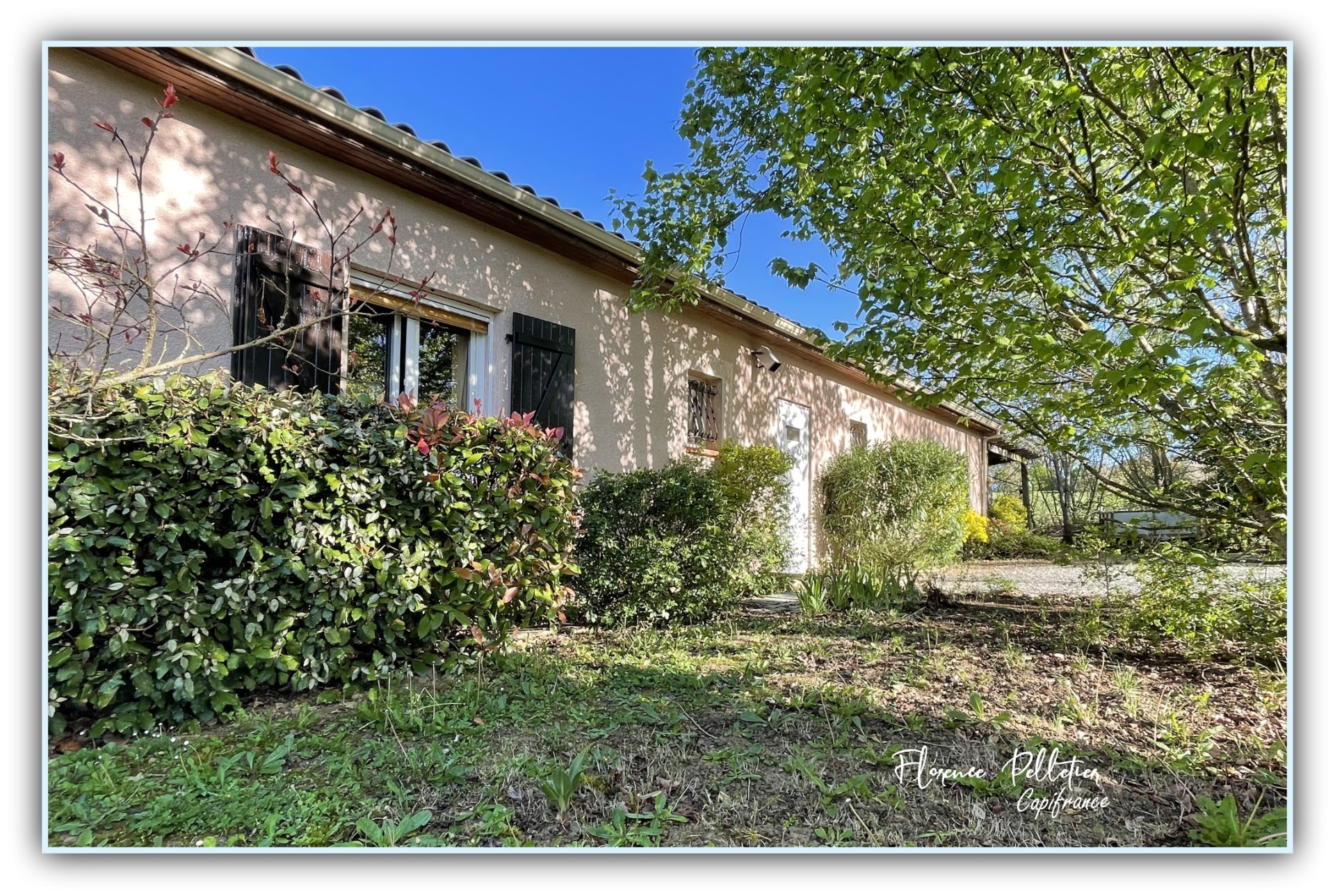 Maison
