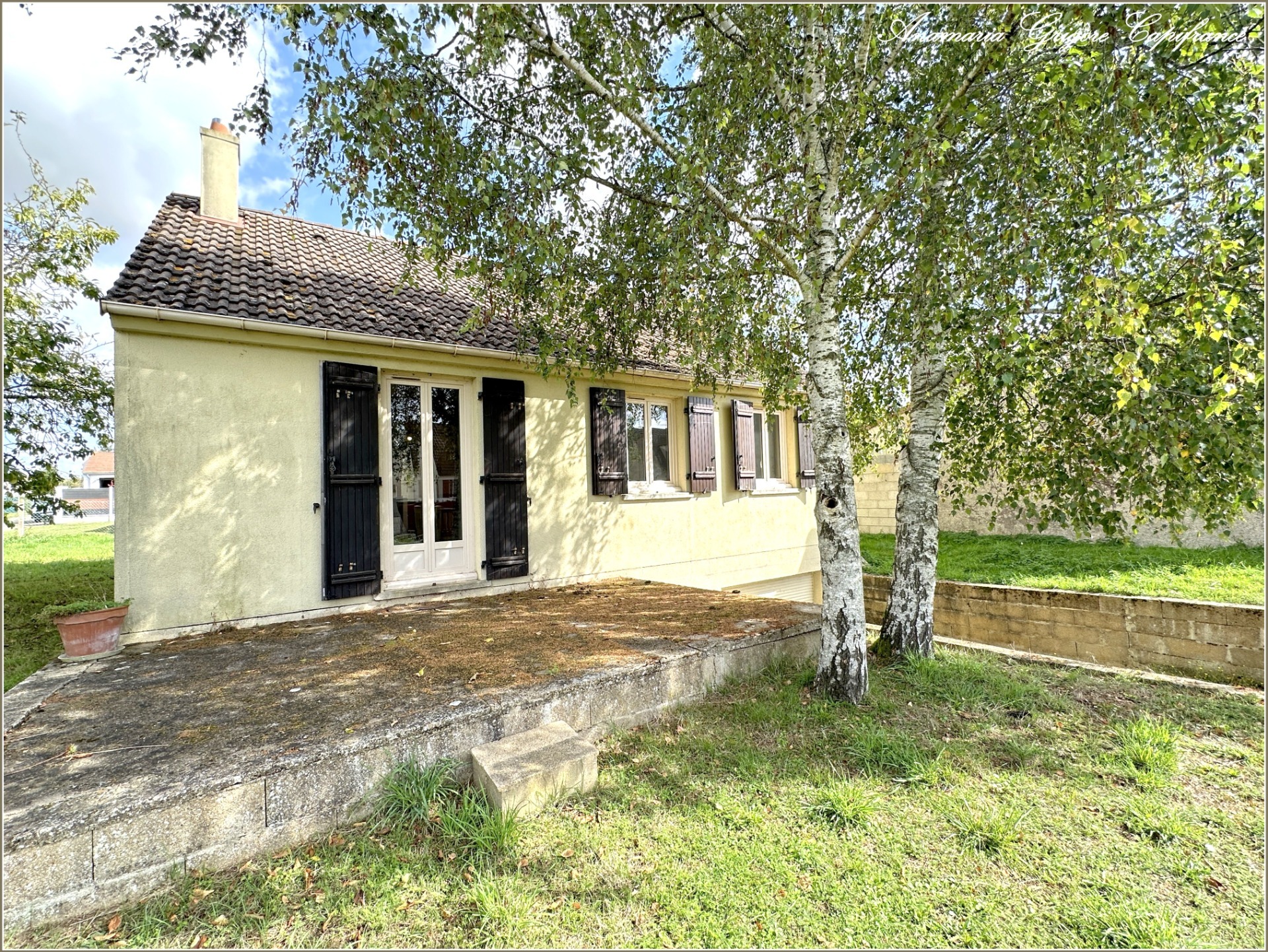 Maison