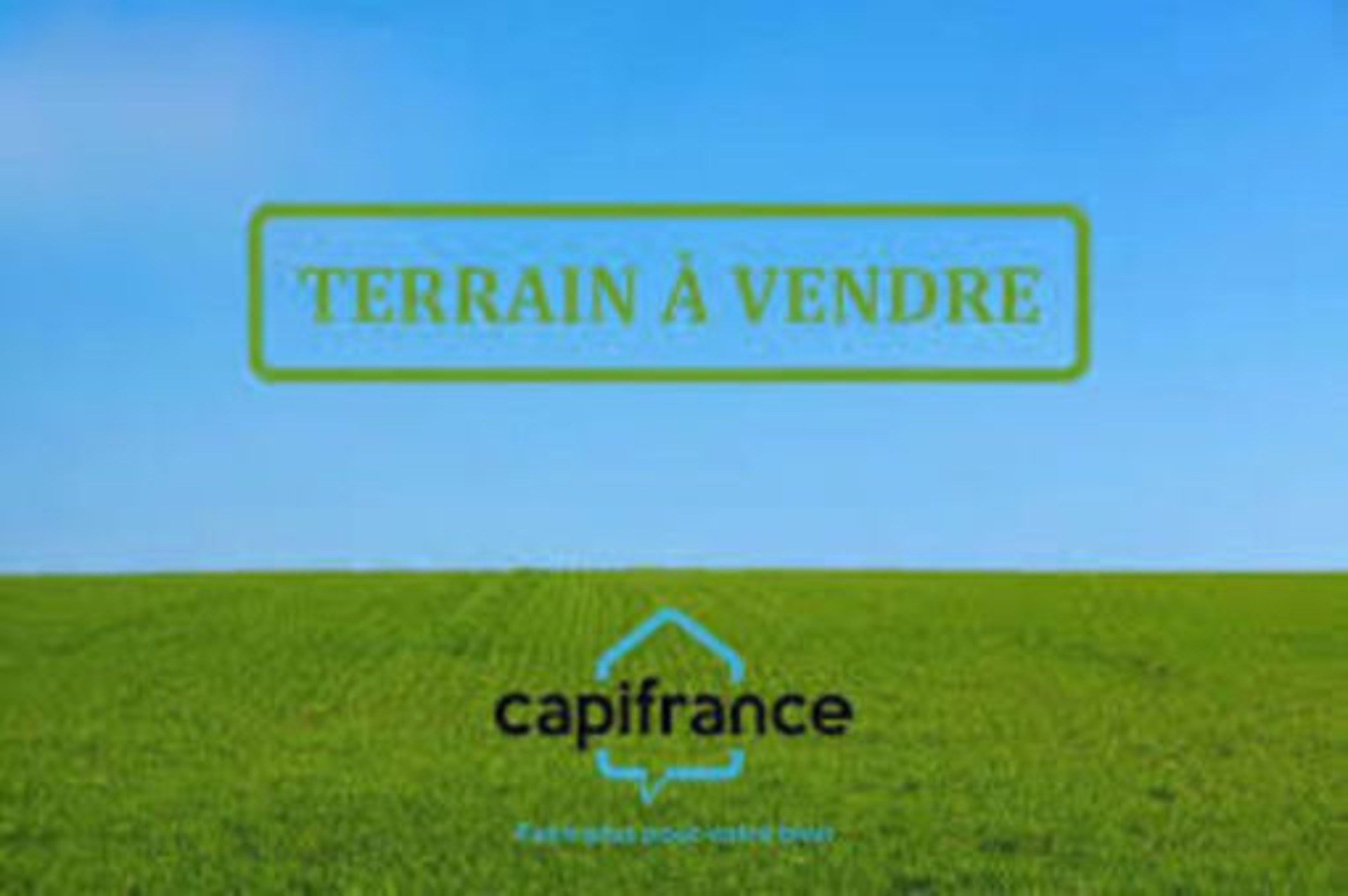 Terrain