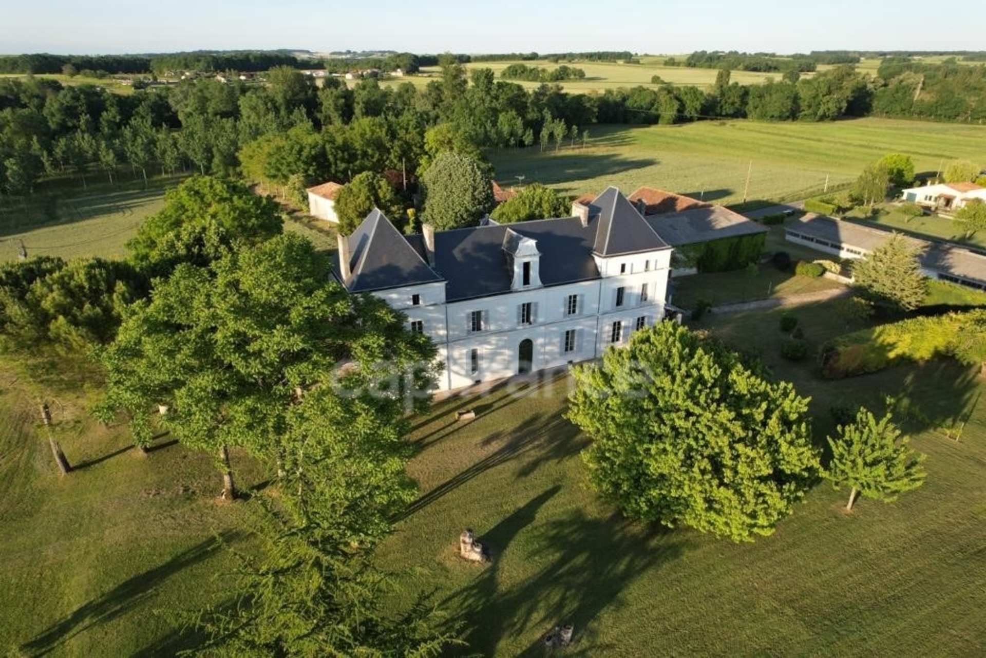 Propriété