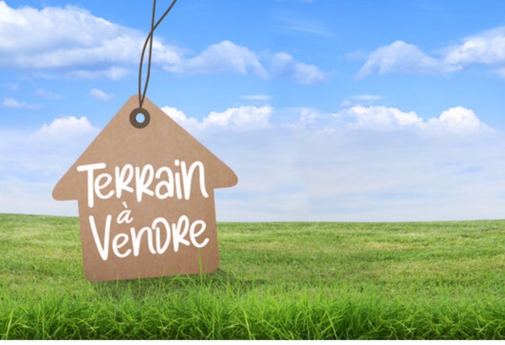 Terrain