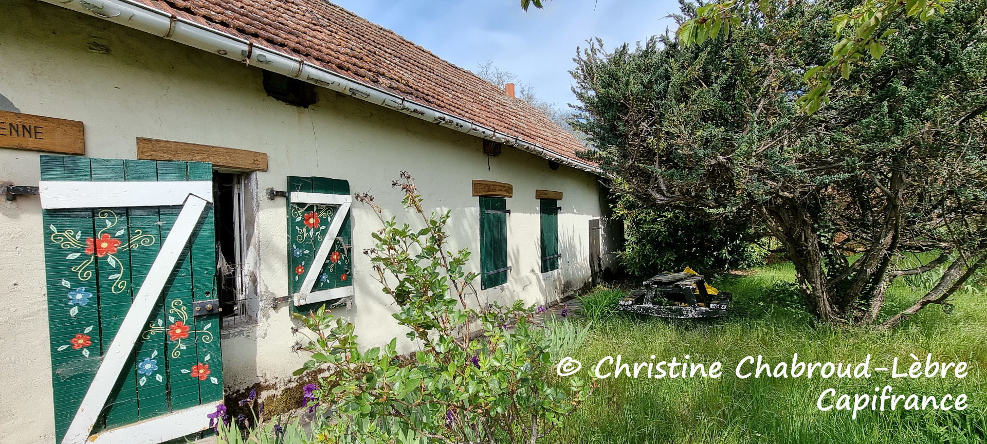 Maison