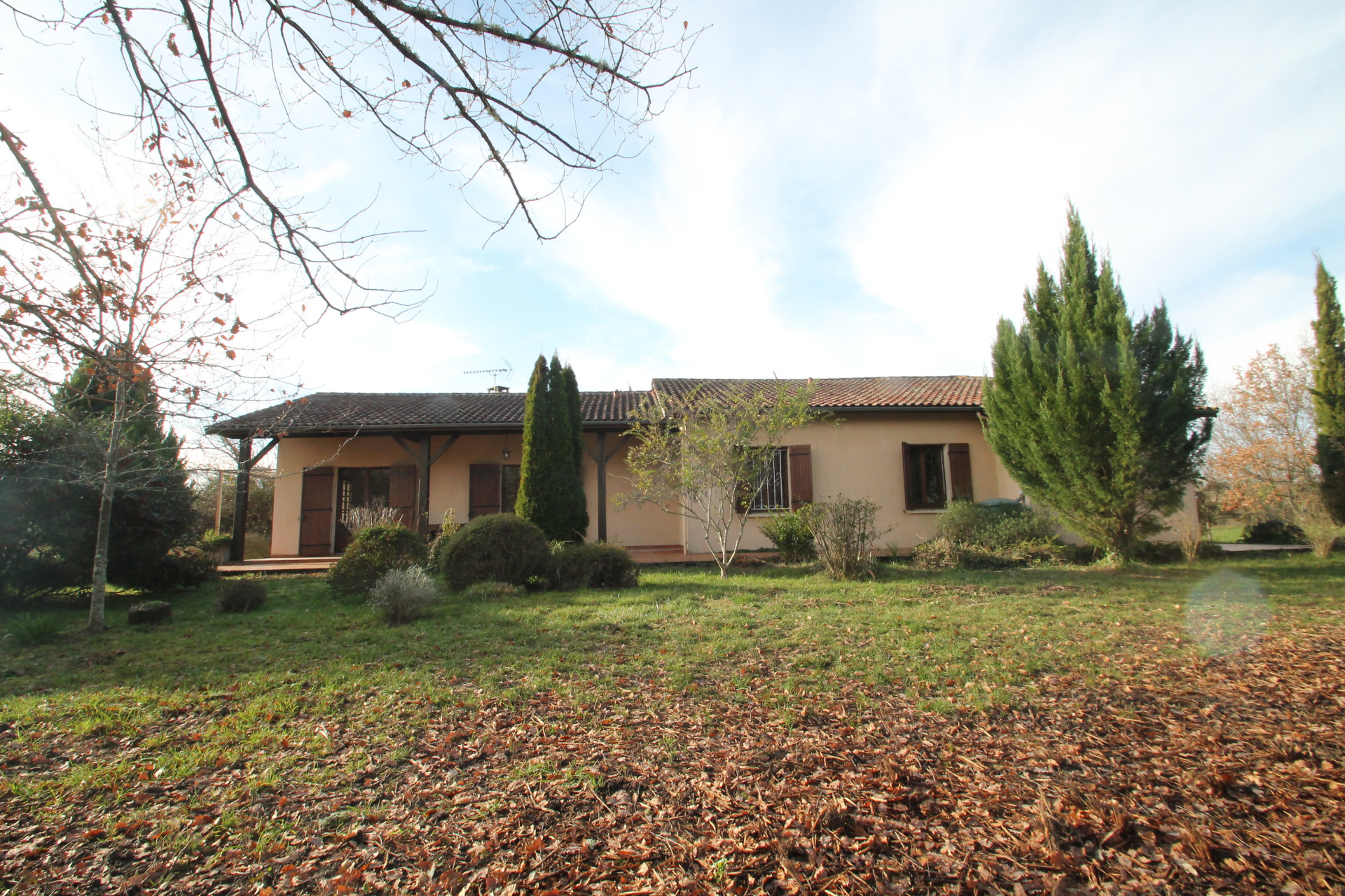 Maison