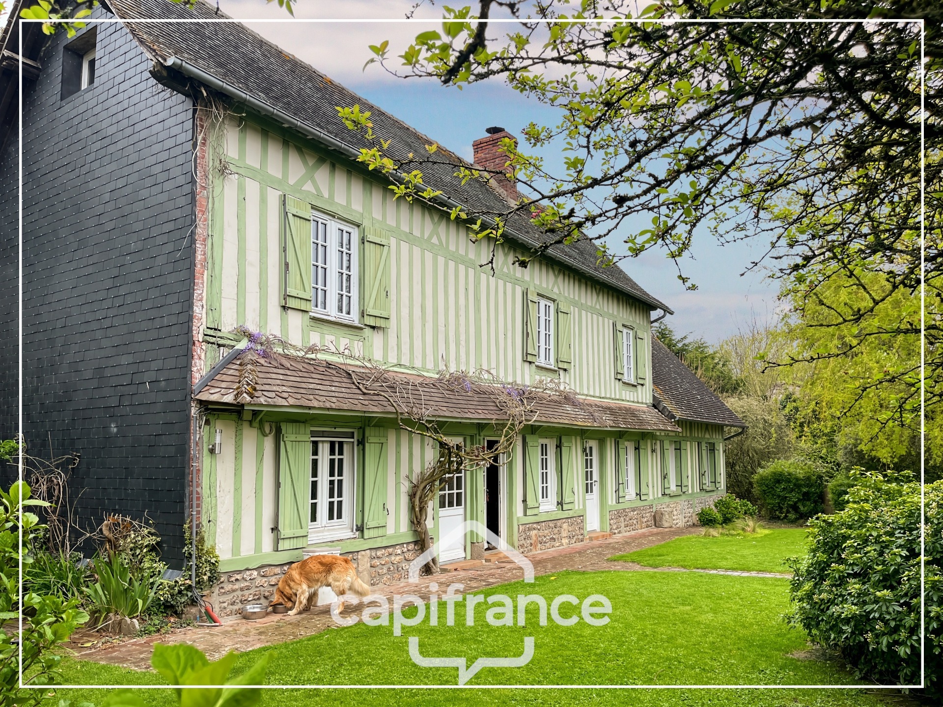Maison