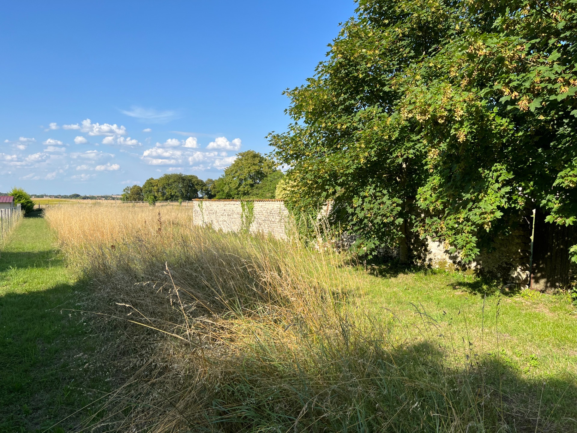 Terrain