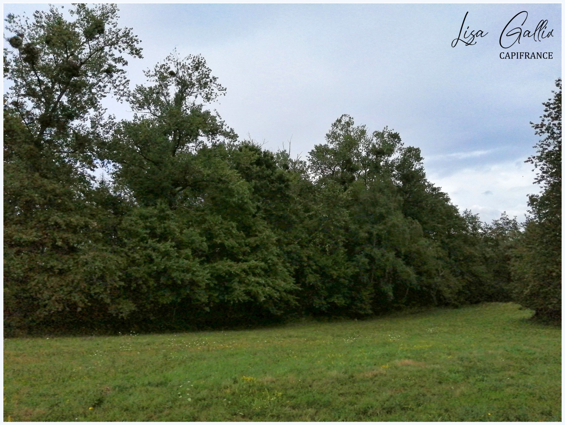 Terrain