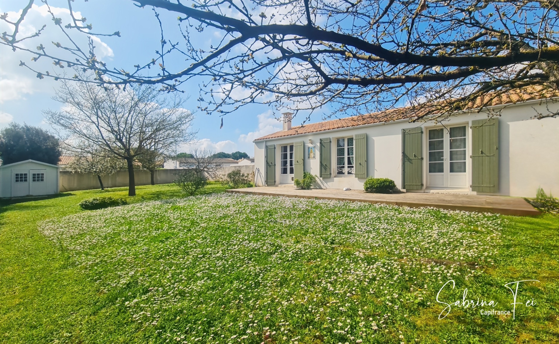 Maison
