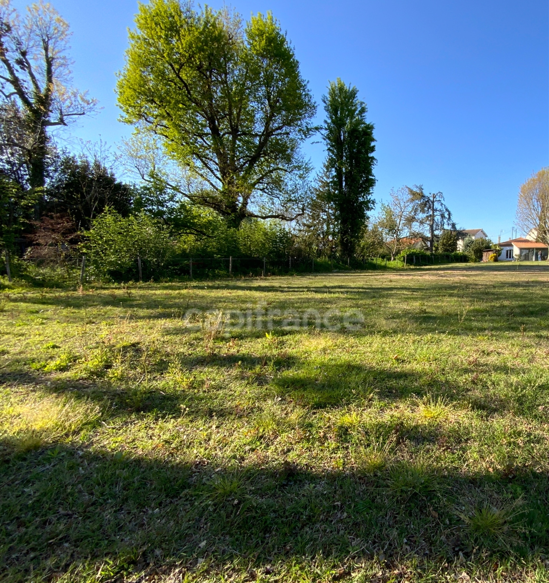 Terrain