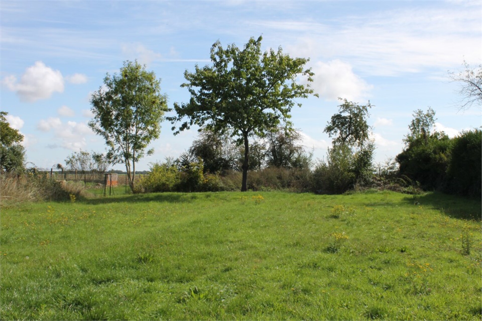 Terrain