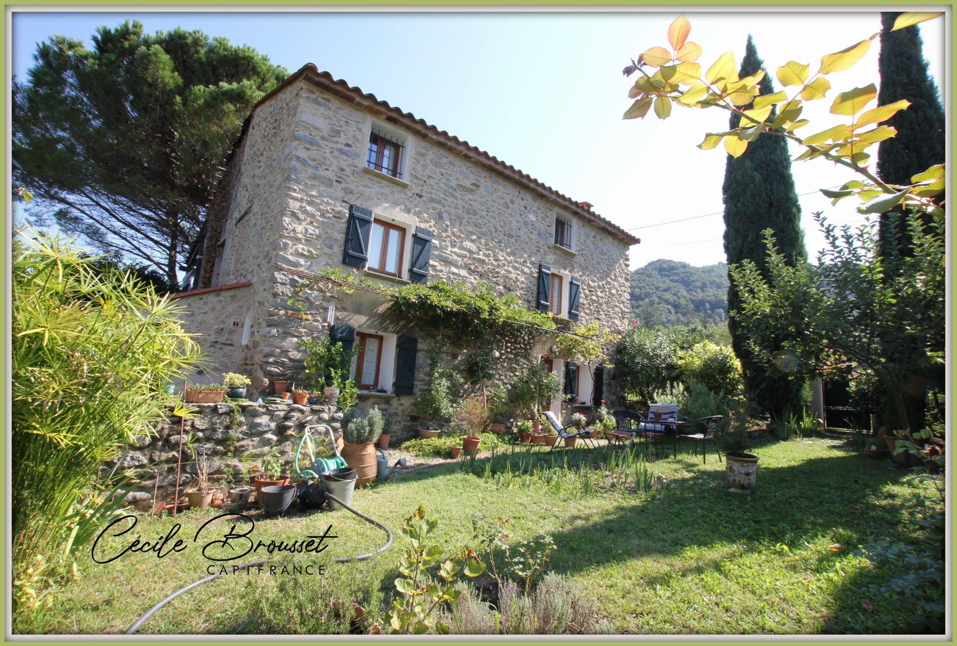 Maison