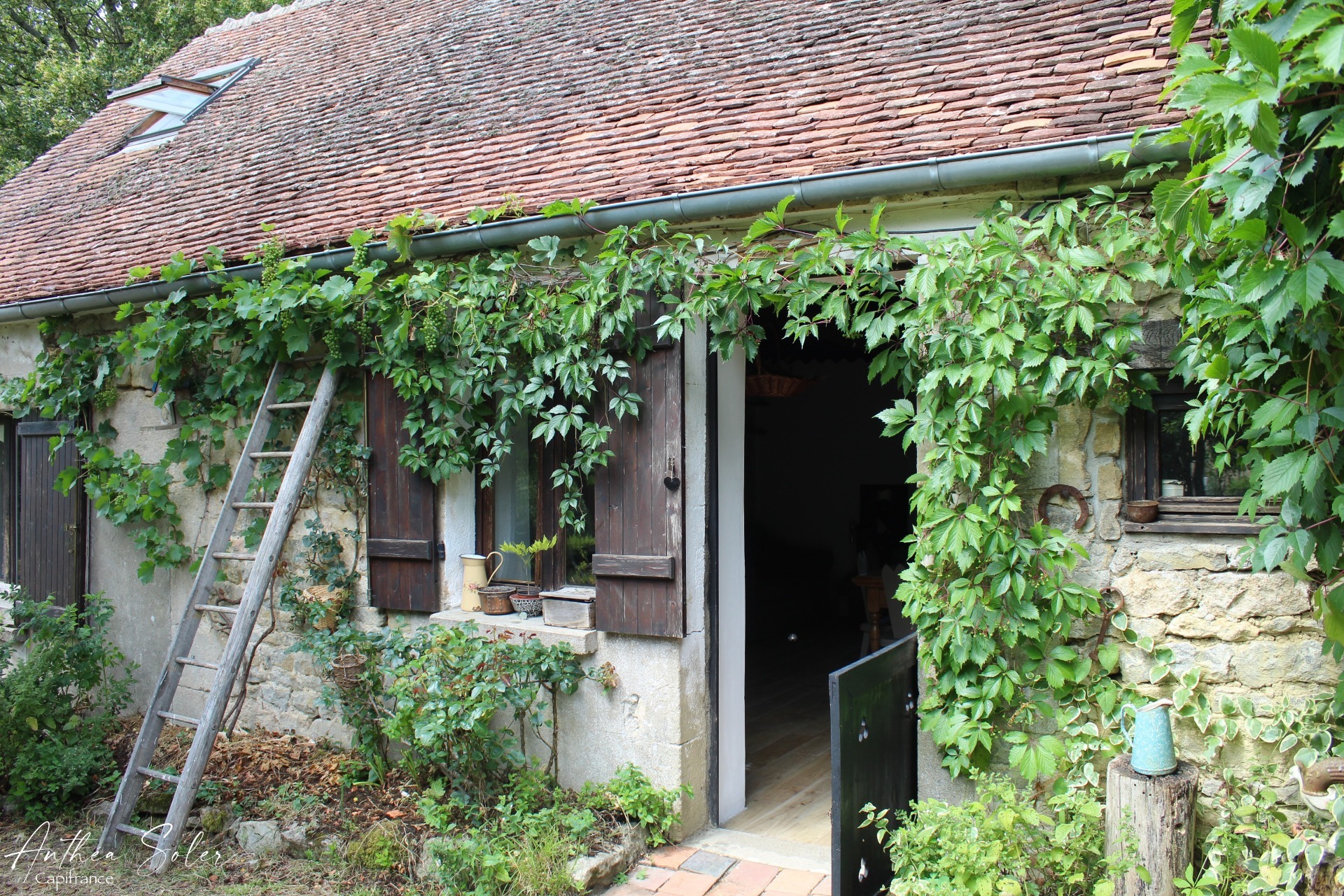 Maison
