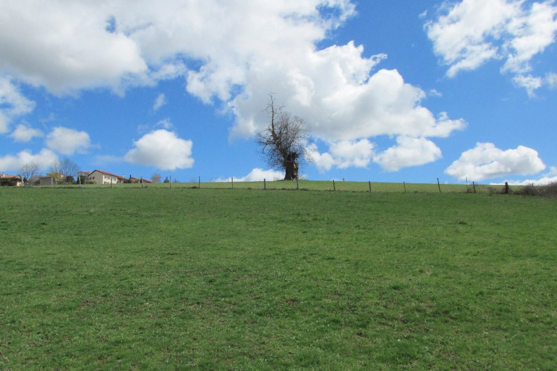 Terrain