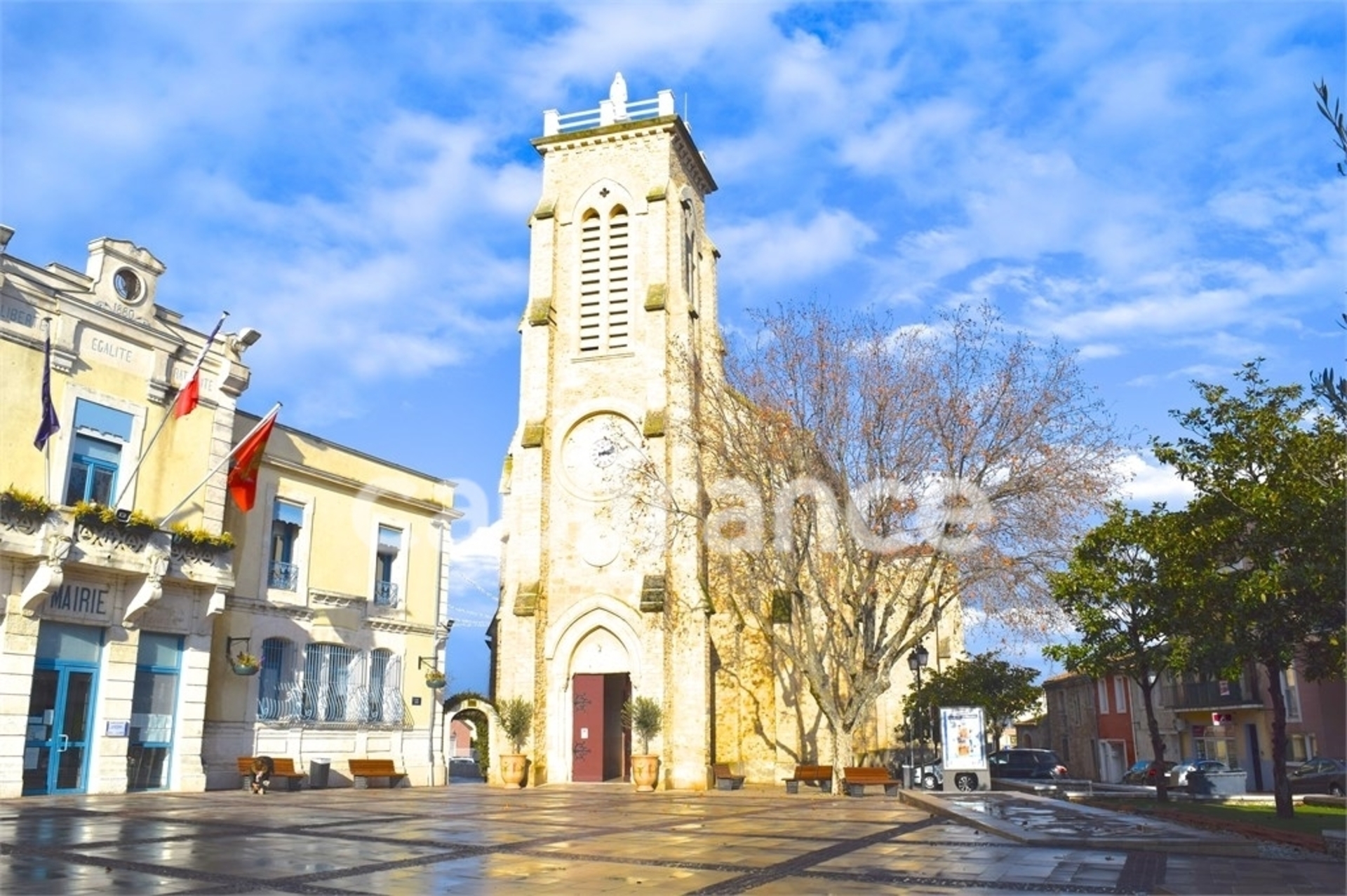 Maison