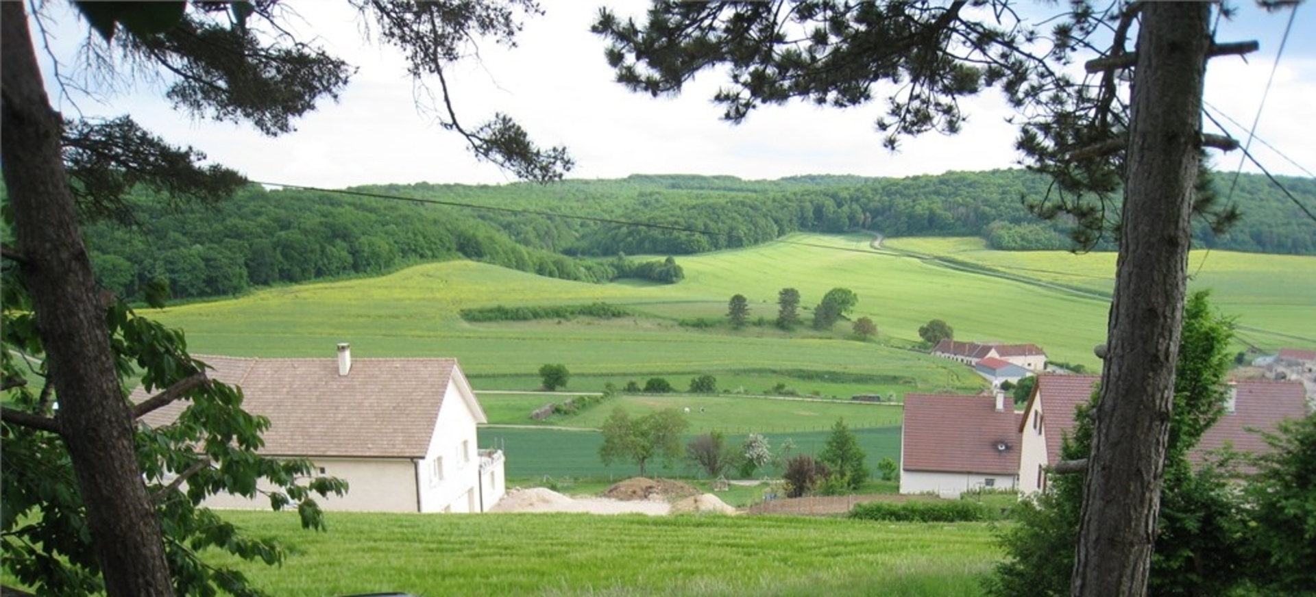 Terrain