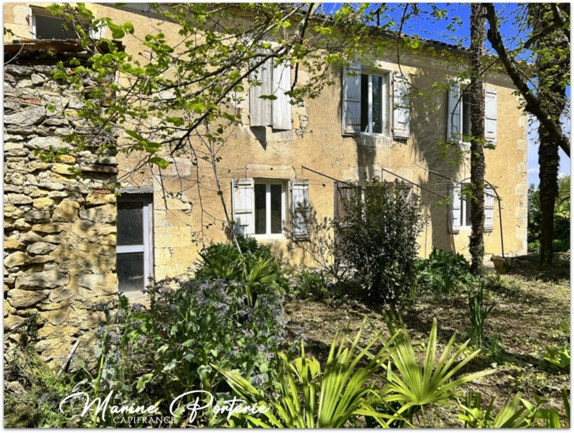 Maison