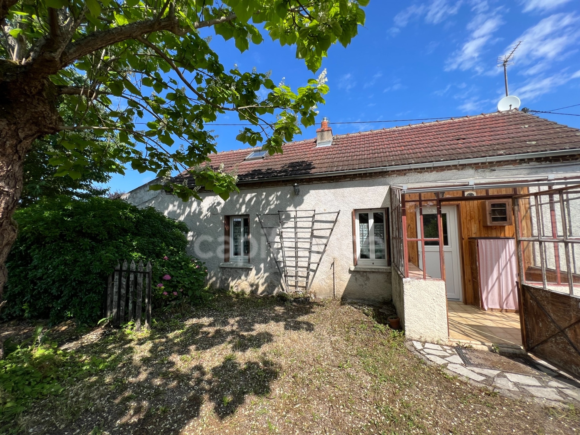 Maison