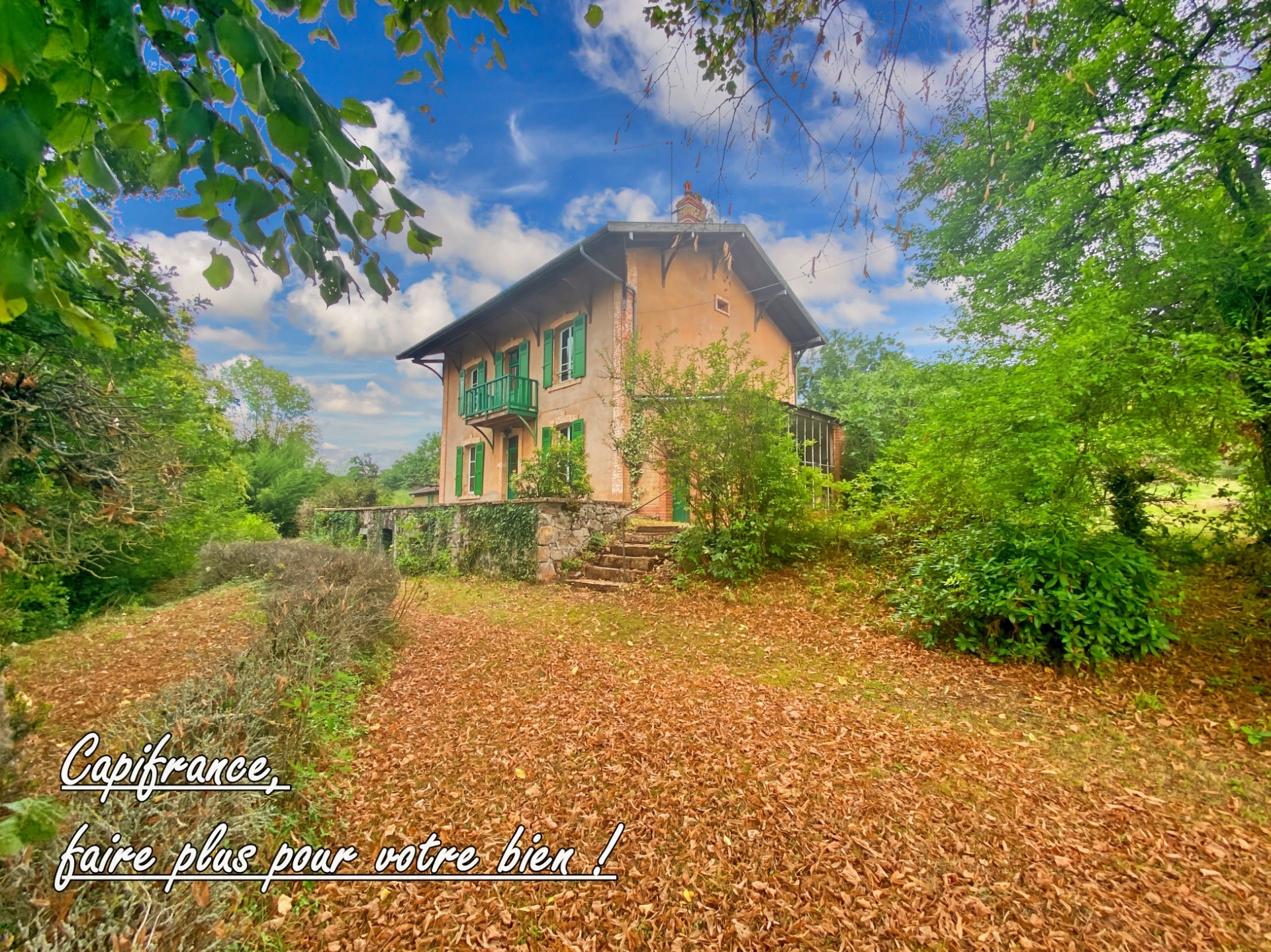 Maison