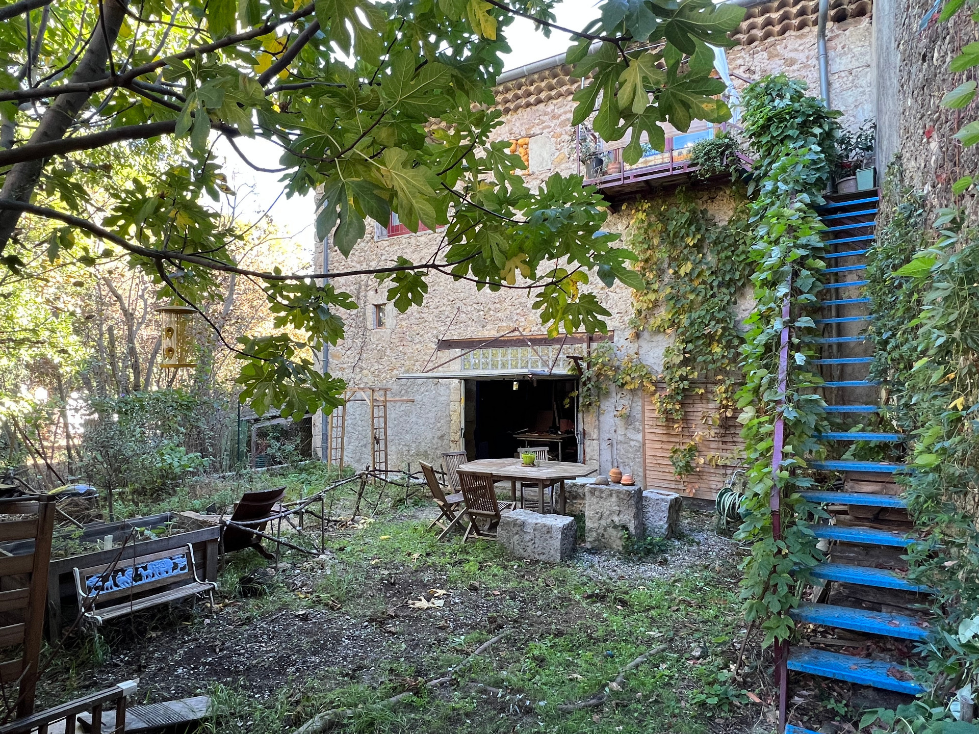 Maison