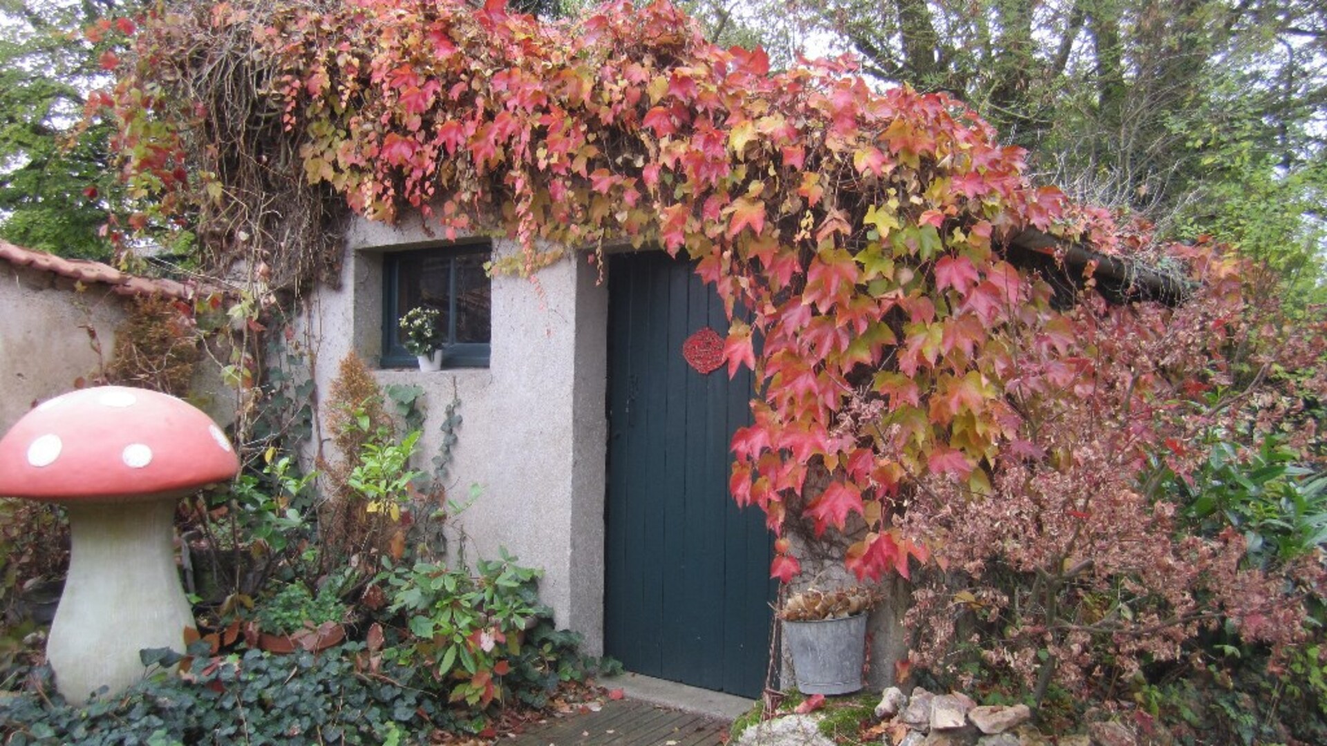 Maison