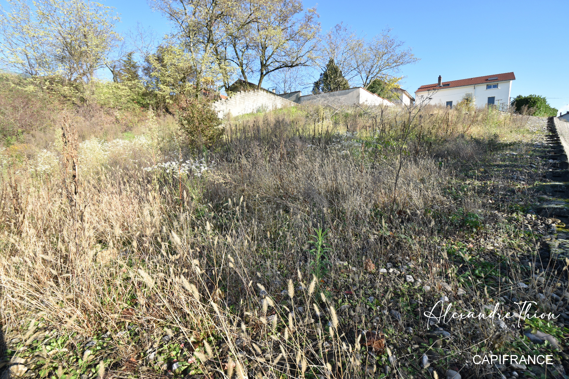 Terrain