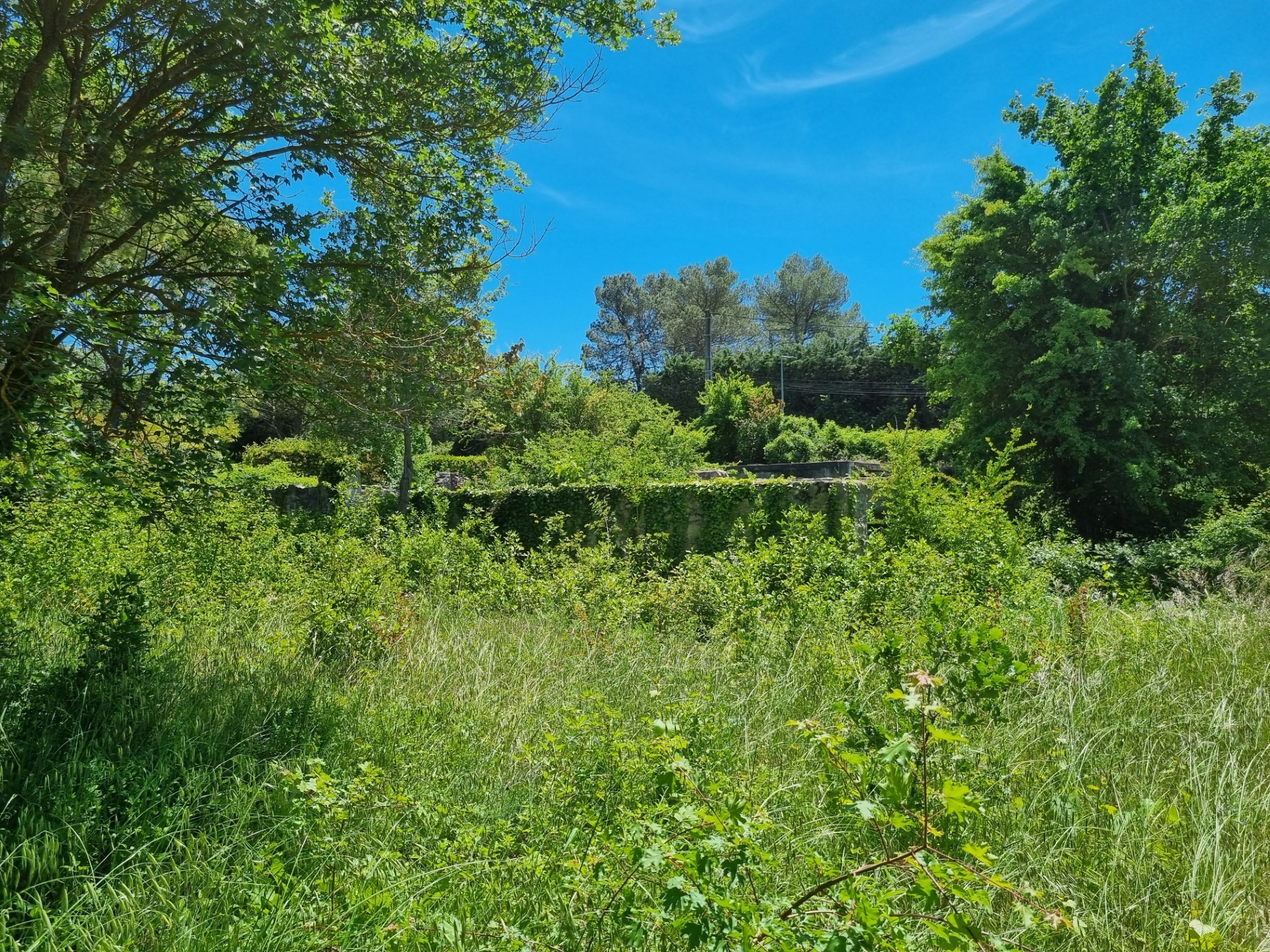Terrain